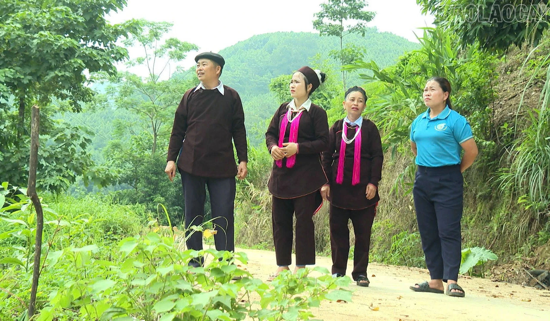baolaocai-tr_4-842.jpg