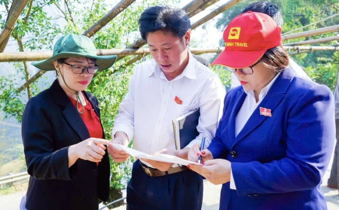 baolaocai-tr_2.jpg