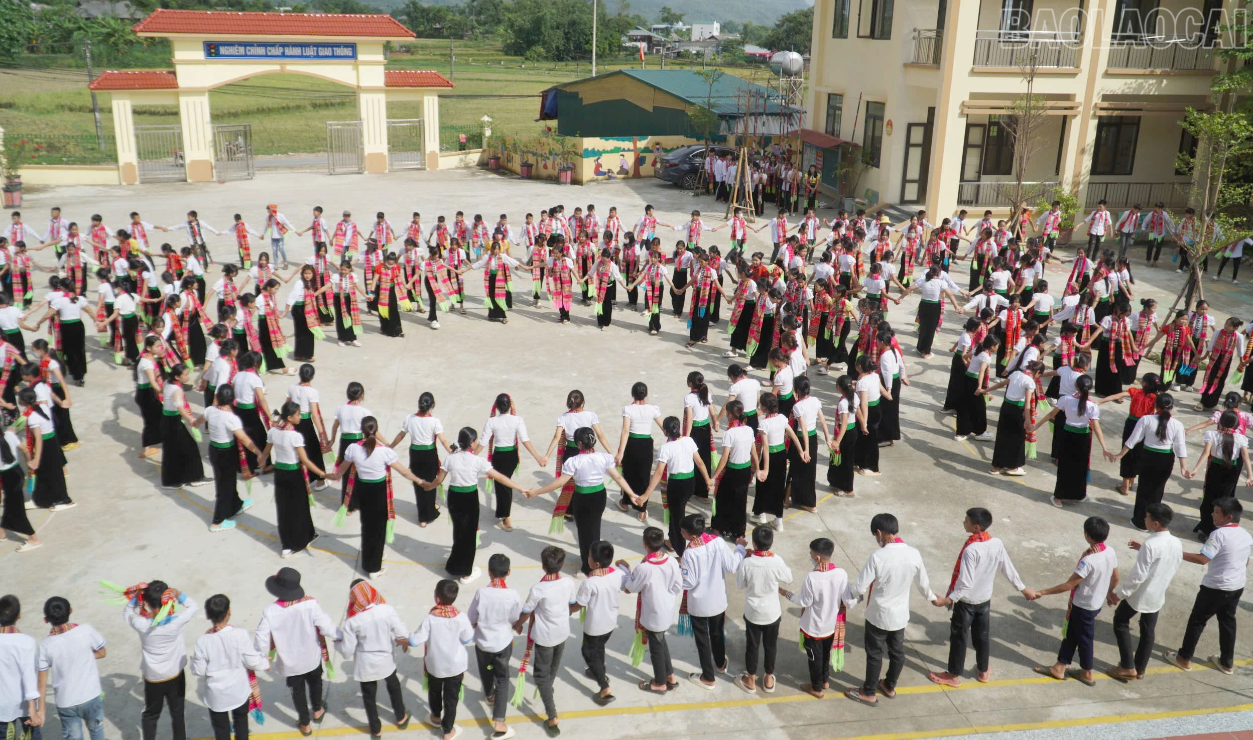 baolaocai-tr_99.jpg