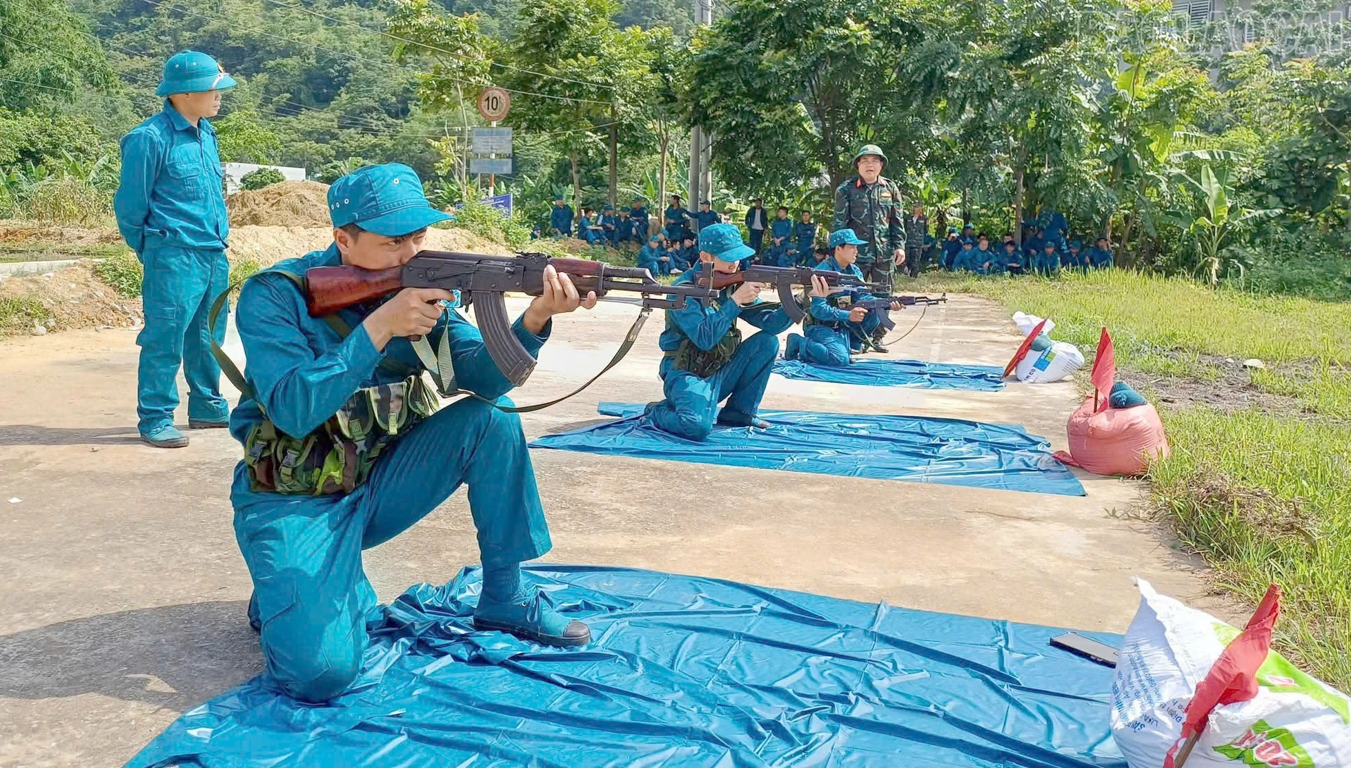 baolaocai-tr_3.jpg