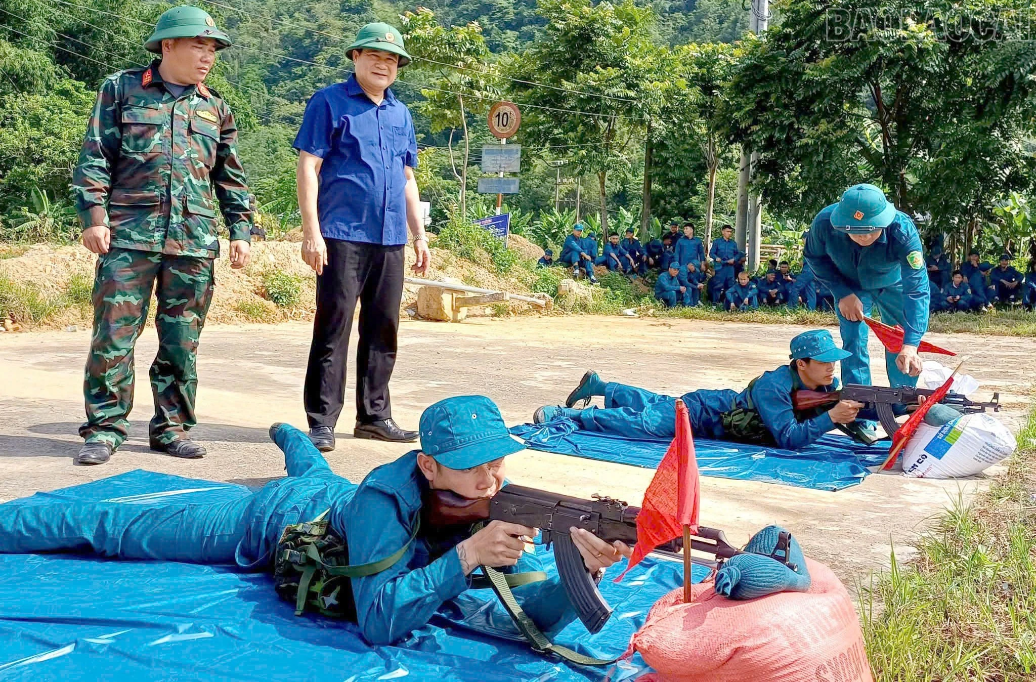 baolaocai-tr_2.jpg