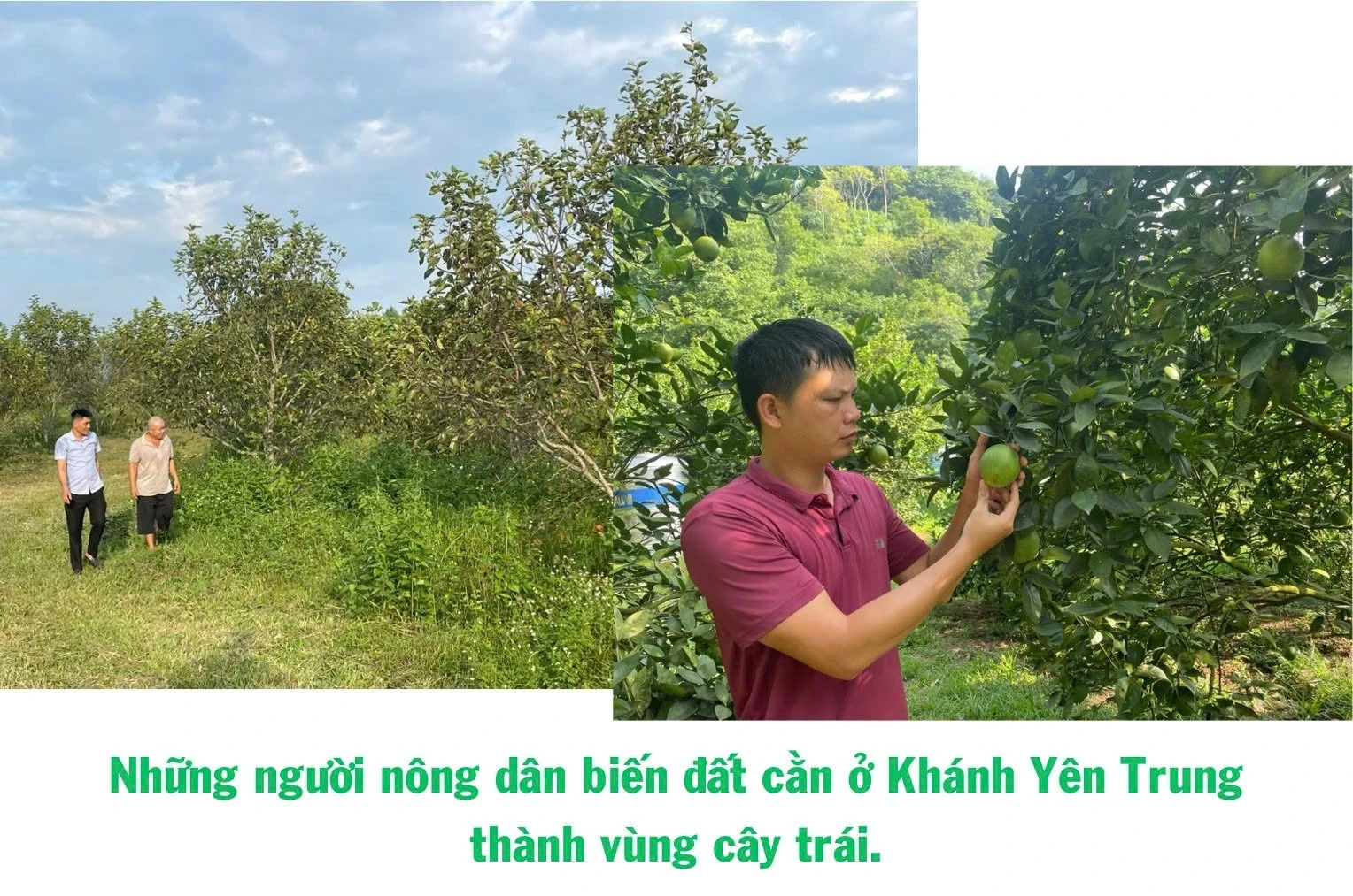 z5913704139632-939156b9a870677cfdca1163dcbdebd3-4835.jpg