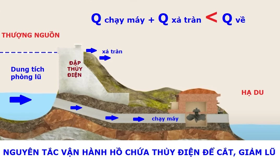 Nguyentacvanhanhhochauthuydien13102021(1).jpg