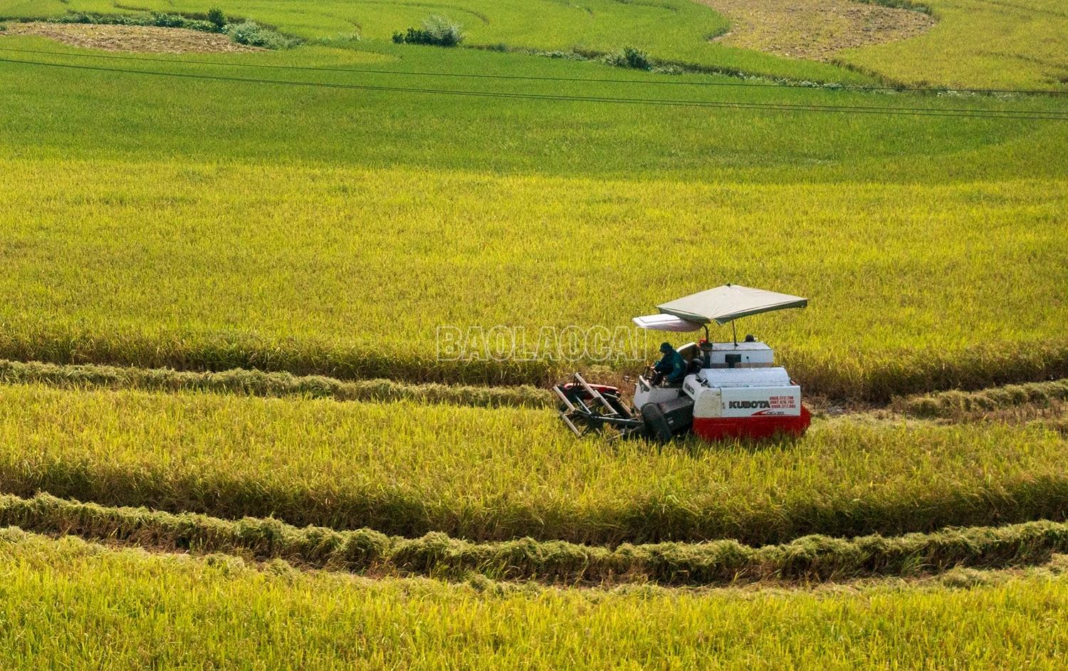 DJI_0718.jpg