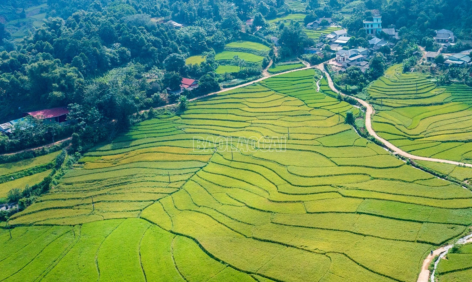DJI_0681.jpg