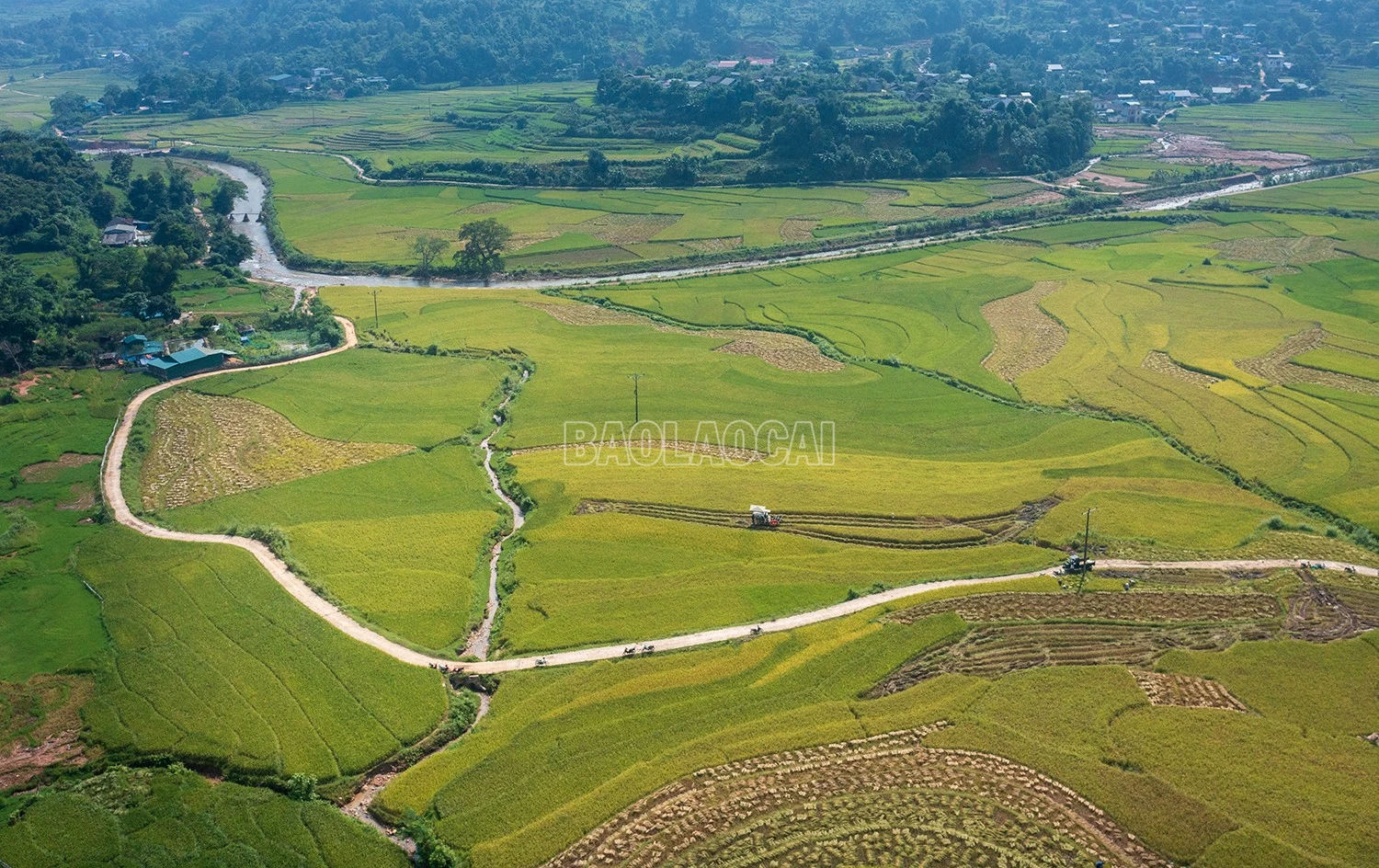DJI_0721.jpg