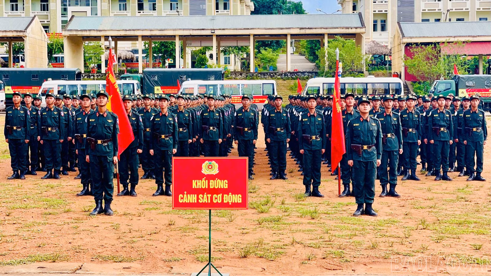 baolaocai-br_anh-555.jpg