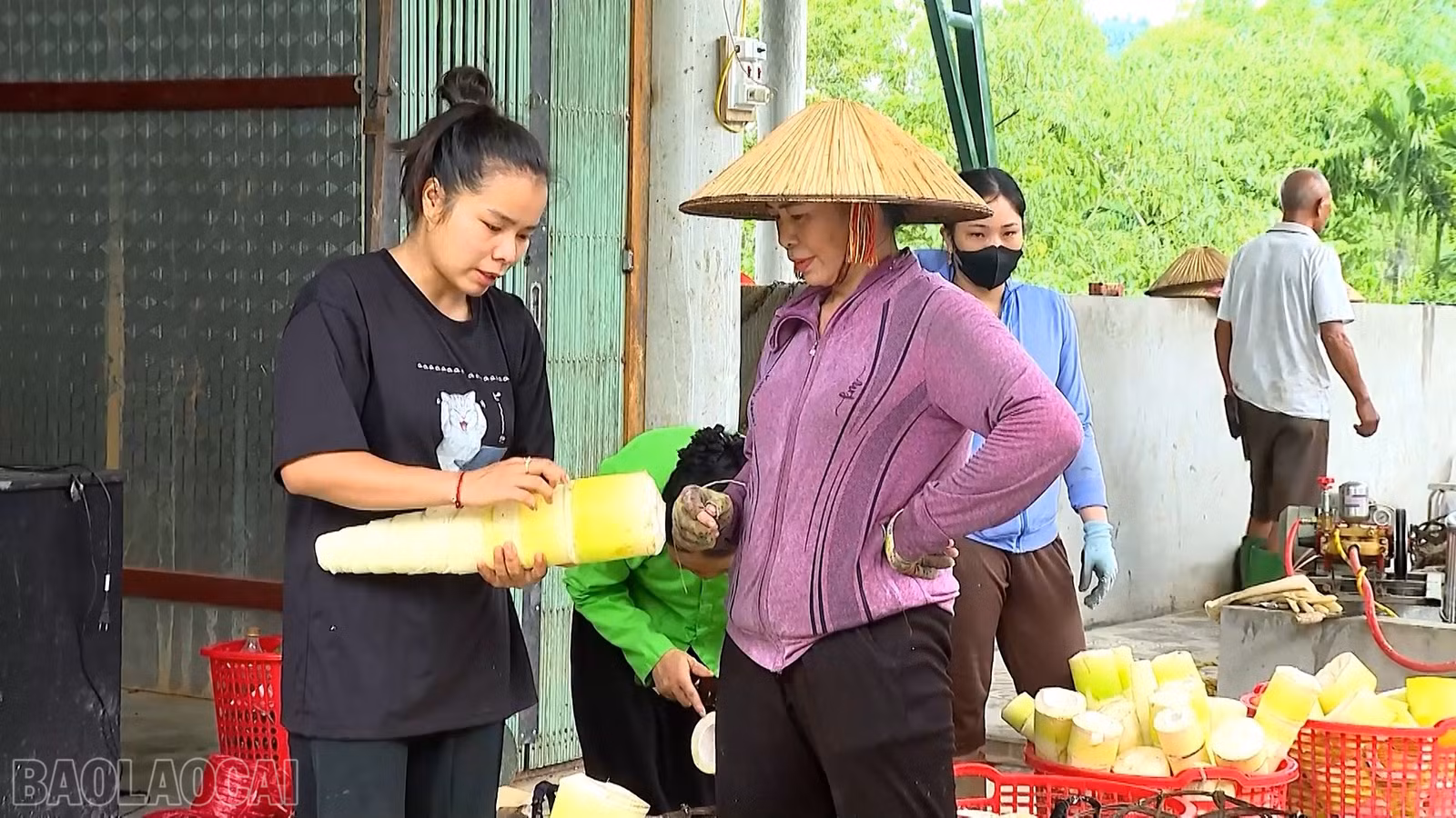 baolaocai-bl_anh-htx-duong-phuc.jpg