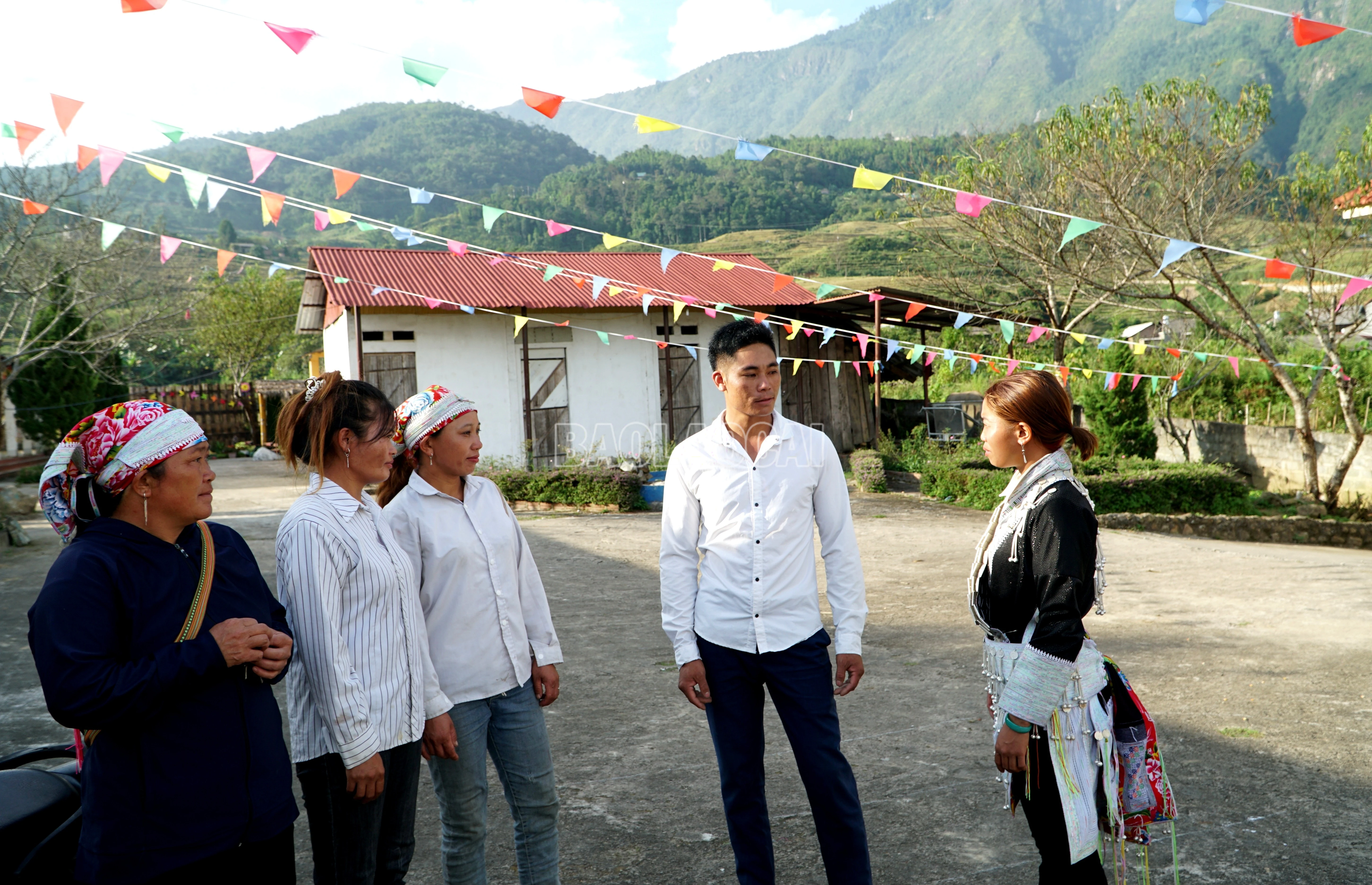 baolaocai-c_img-20241204-230646.jpg