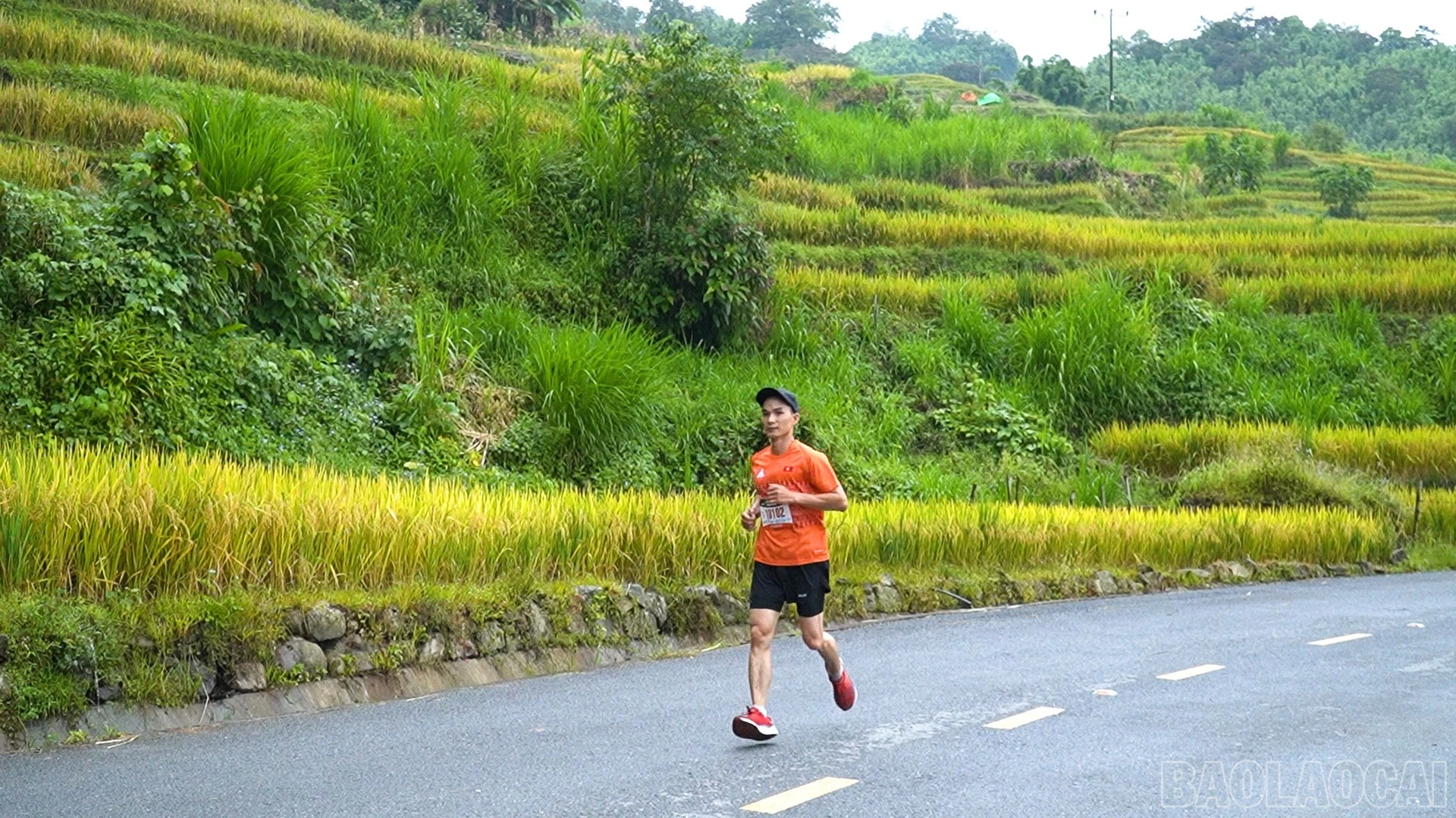 baolaocai-br_chuyen-de-van-hoa-the-thao-copy00-13-30-19still874.jpg