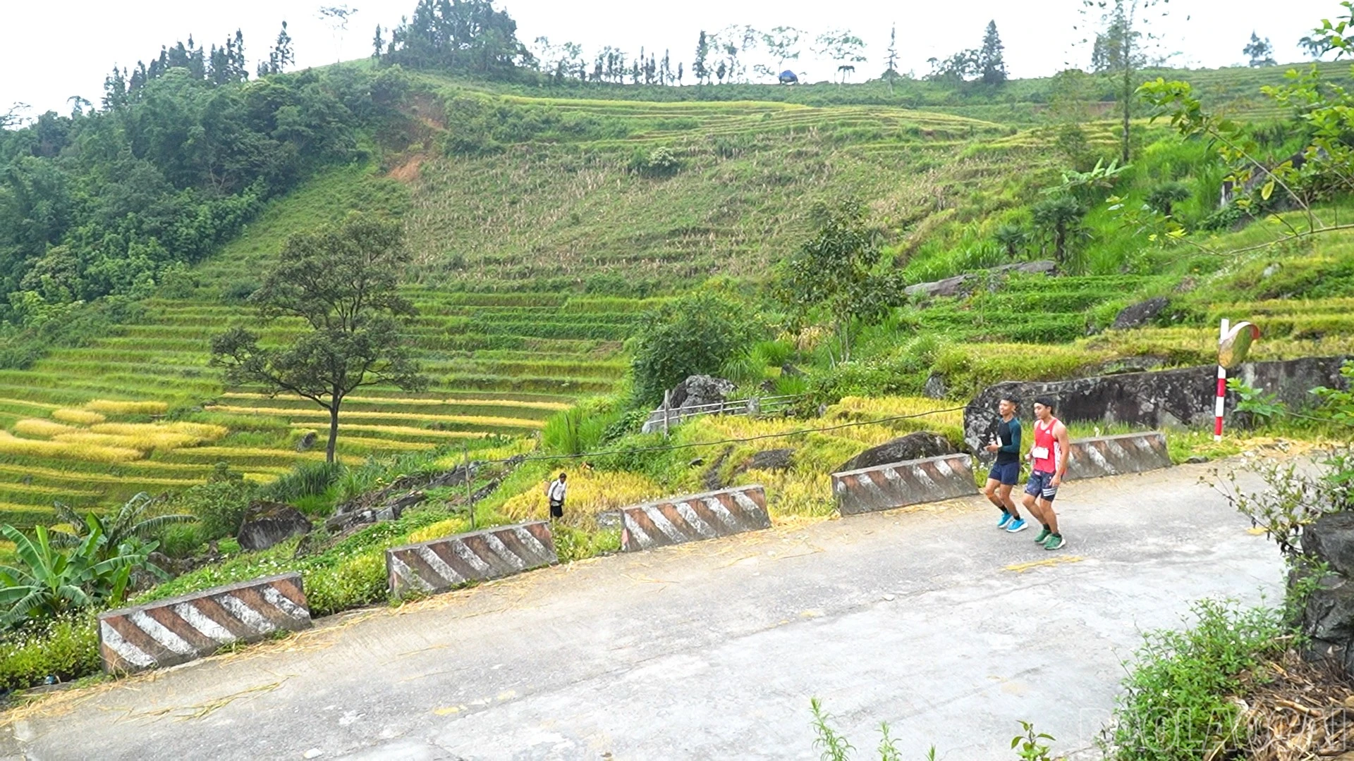 baolaocai-br_chuyen-de-van-hoa-the-thao-copy00-14-36-00still860.jpg