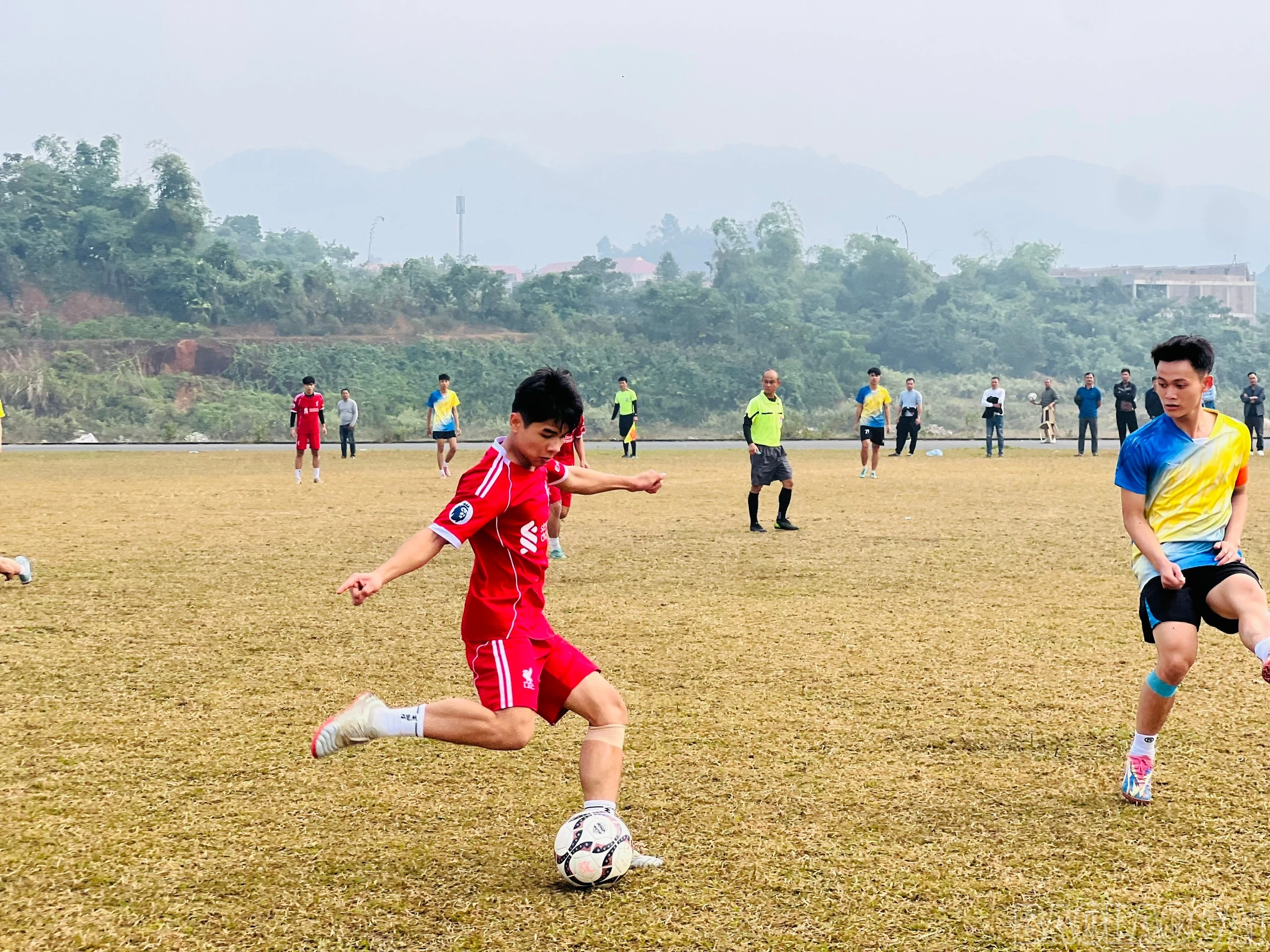 baolaocai-br_z7335944160782-0d0b06b133e05d8fdbc1142ddd679aa2.jpg