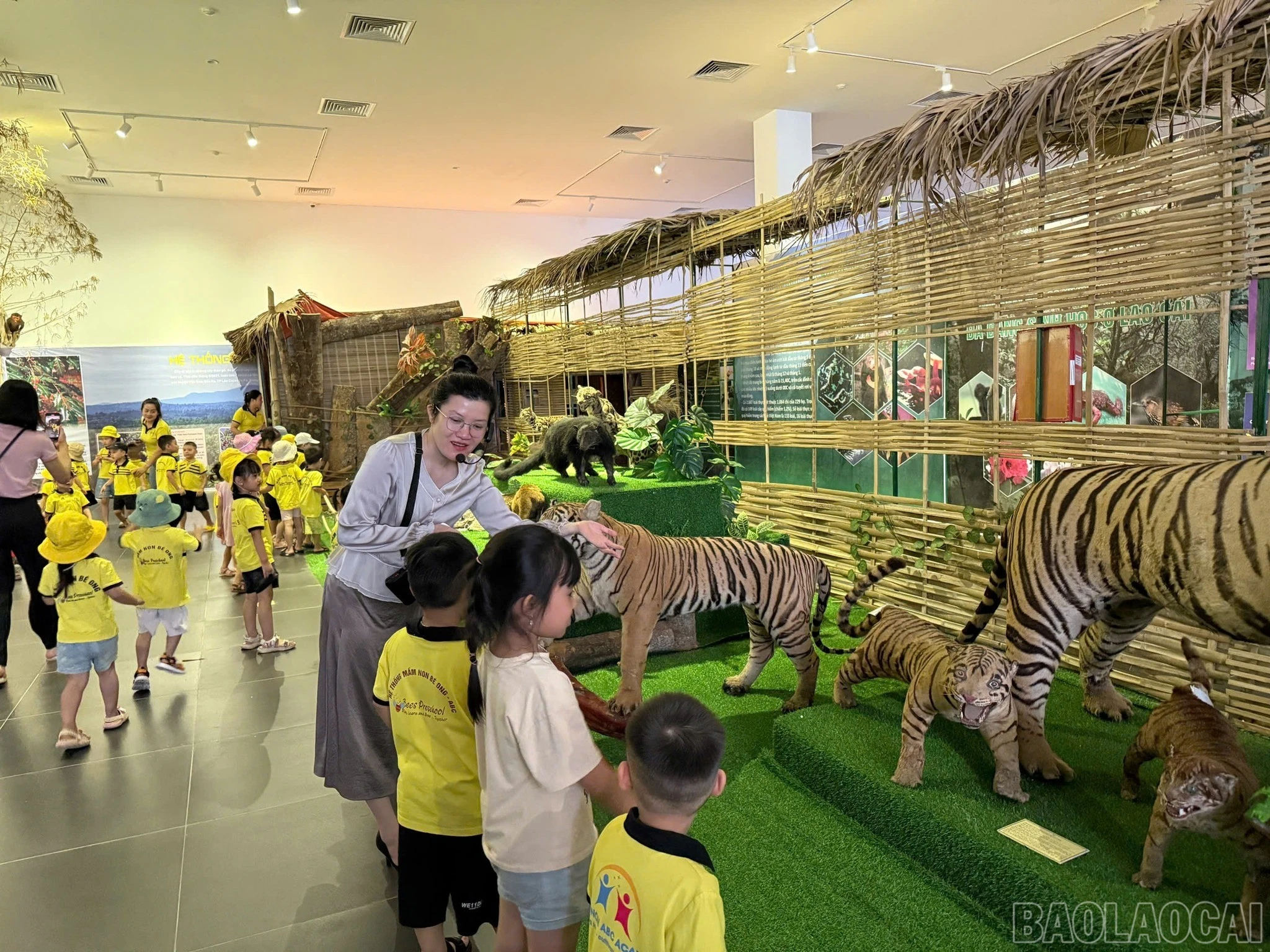 baolaocai-br_521654691-1155398133292590-2577689836949762043-n.jpg