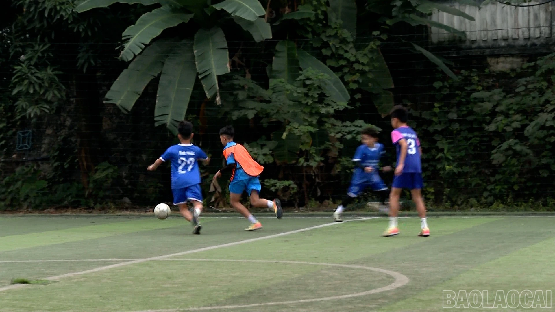 baolaocai-br_490-749800-02-00-05still019.jpg