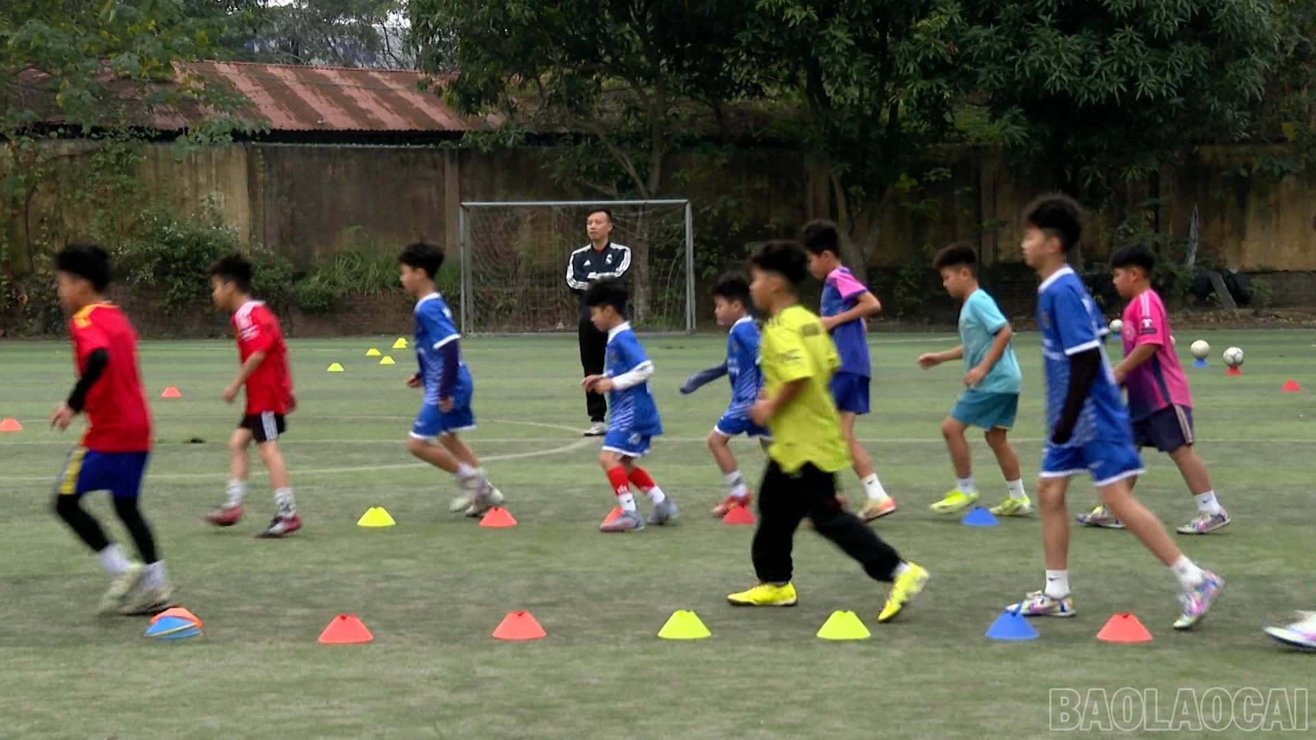 baolaocai-br_490-749800-00-26-19still016.jpg