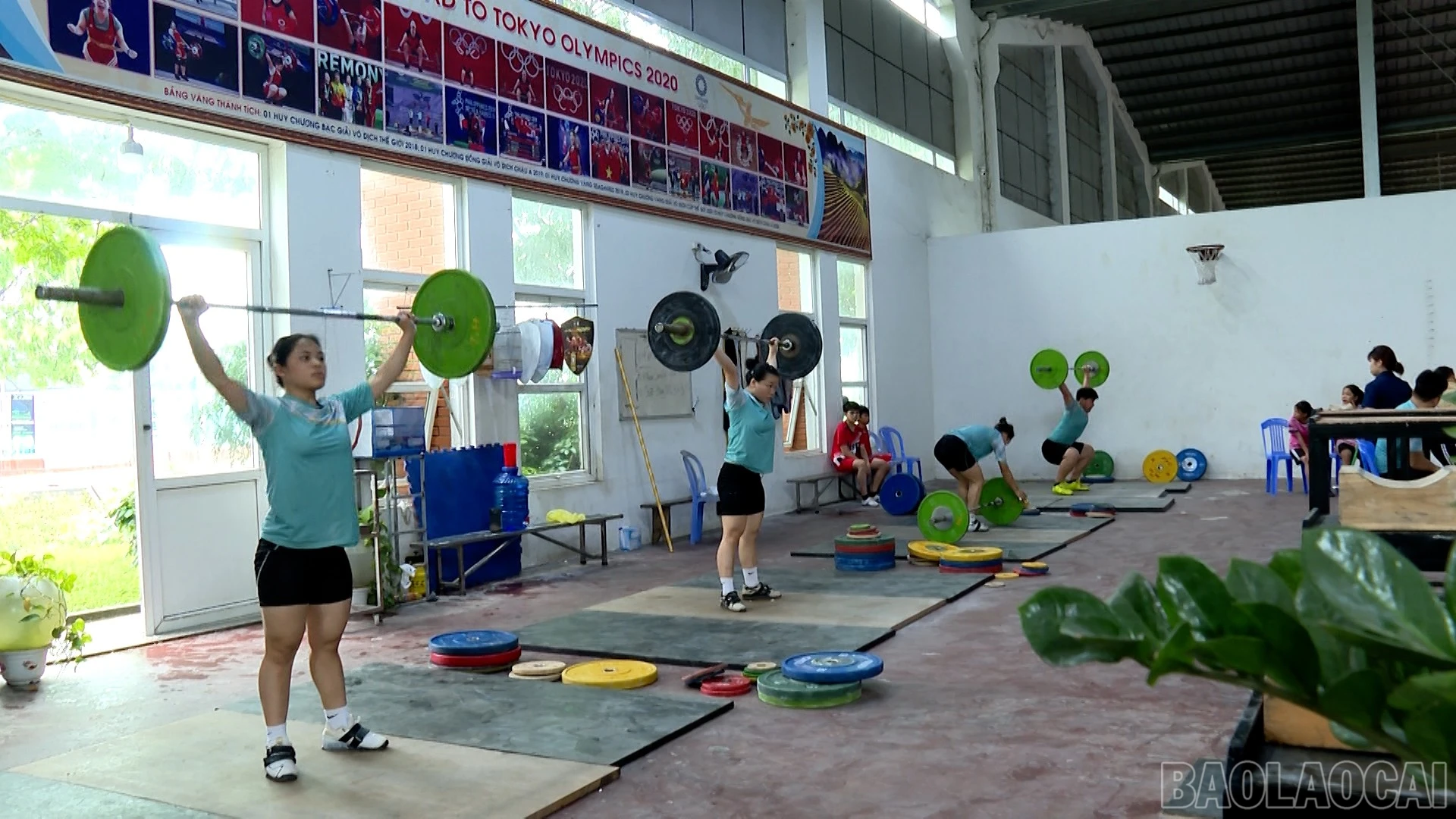 baolaocai-br_490-749800-11-39-18still001.jpg