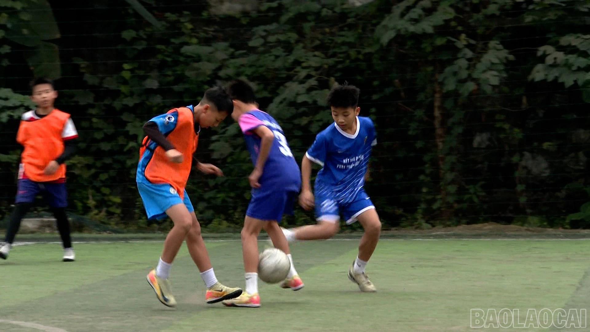 baolaocai-br_490-749800-02-28-18still022.jpg