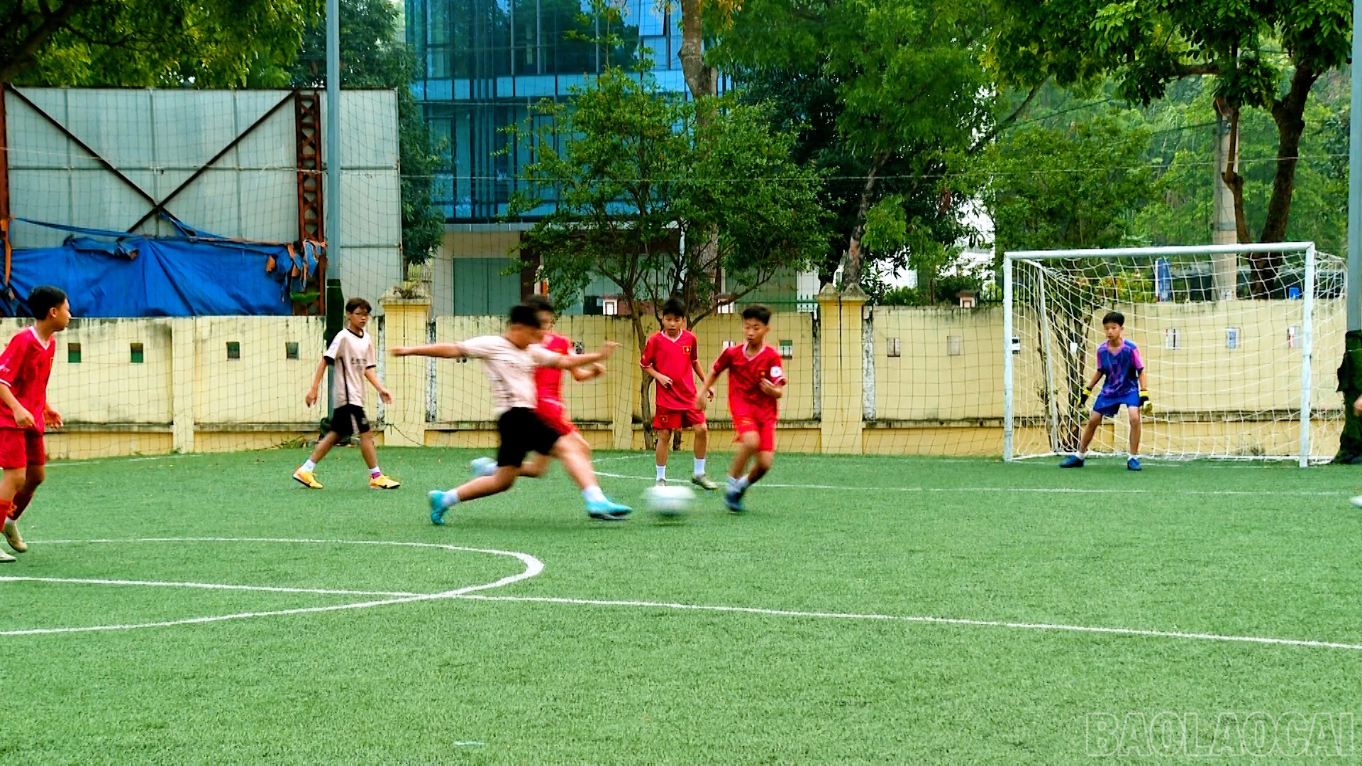 baolaocai-br_490-189701-06-19-10still055.jpg