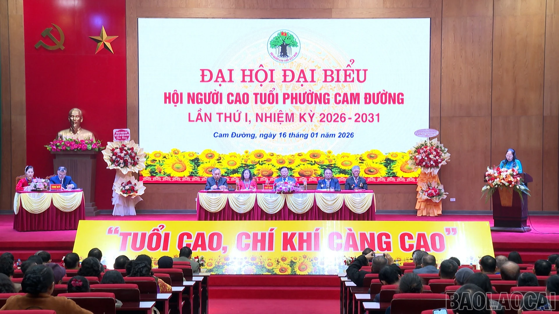 baolaocai-br_pv-so-vh00-04-15-15still021.jpg
