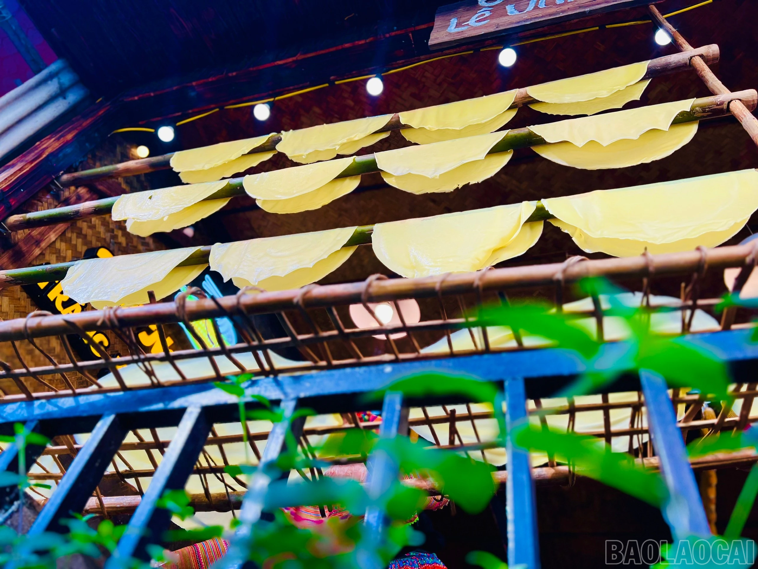 baolaocai-br_z7200142269776-fdc01757dc49fbec8fe5bbbfded15ceb.jpg