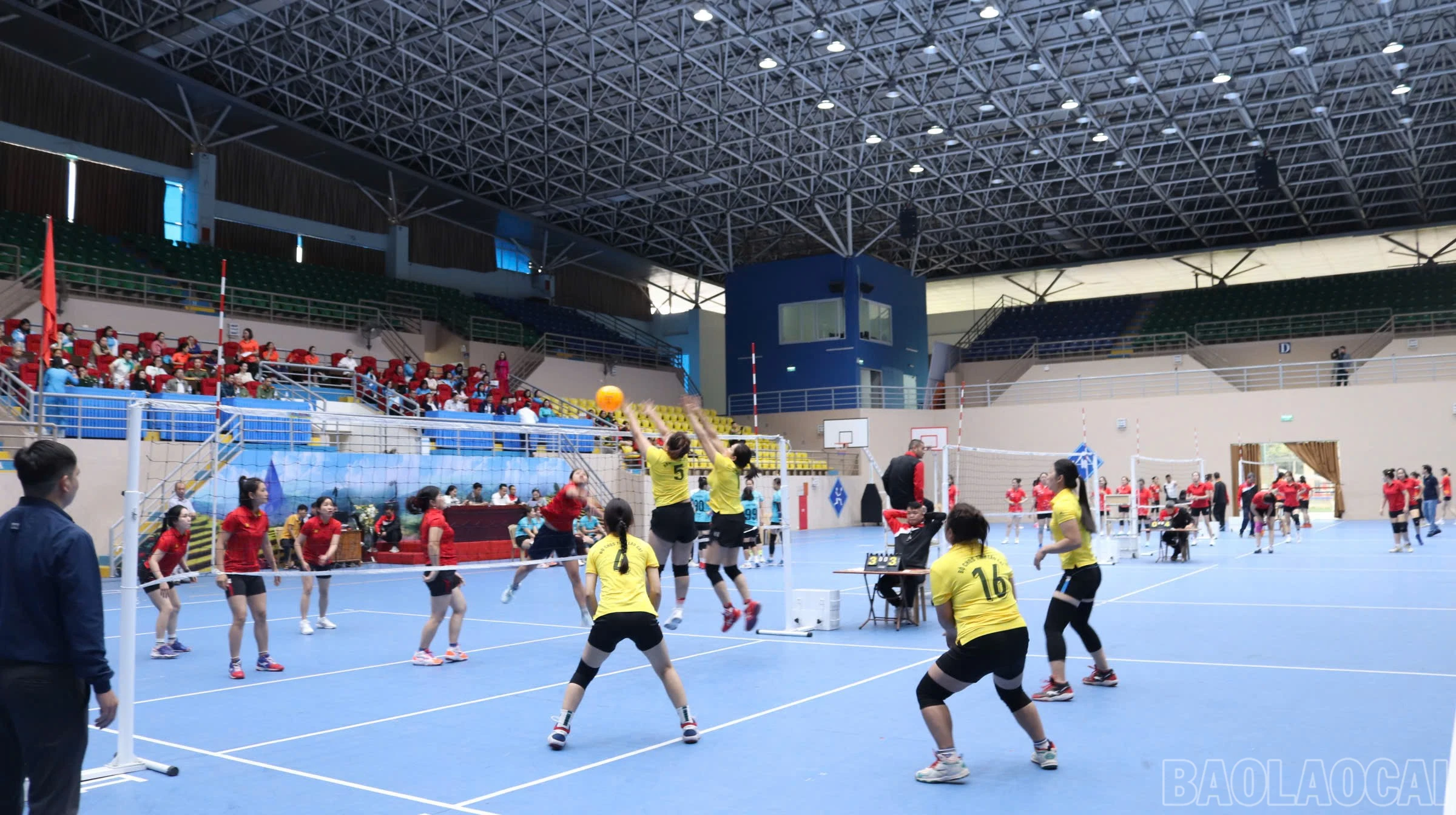 baolaocai-br_z7585530240416-49ee00906e984b5959ec6f27e58666e4.jpg