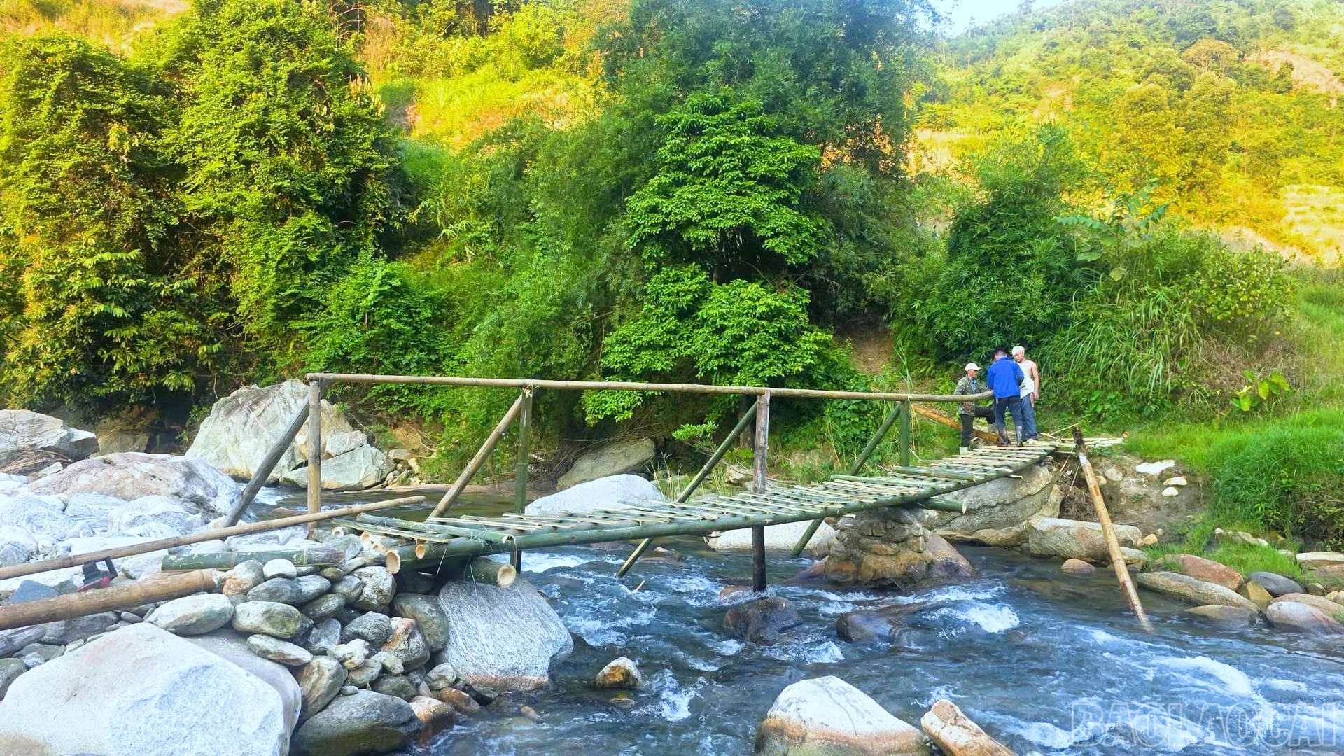 baolaocai-br_c661100-05-02-07still020.jpg