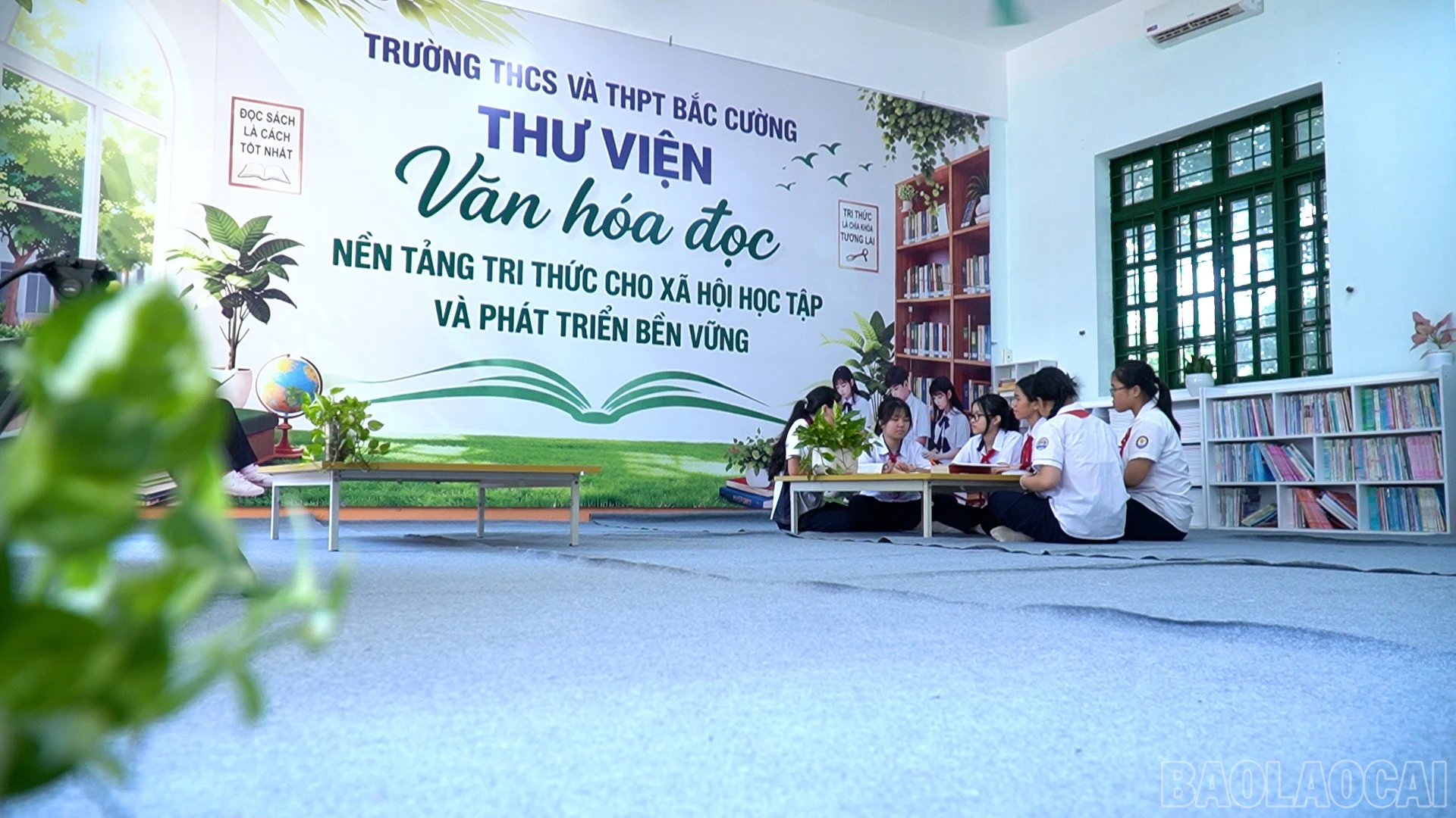 baolaocai-br_chuyen-de-van-hoa-the-thao-copy00-25-32-10still969.jpg