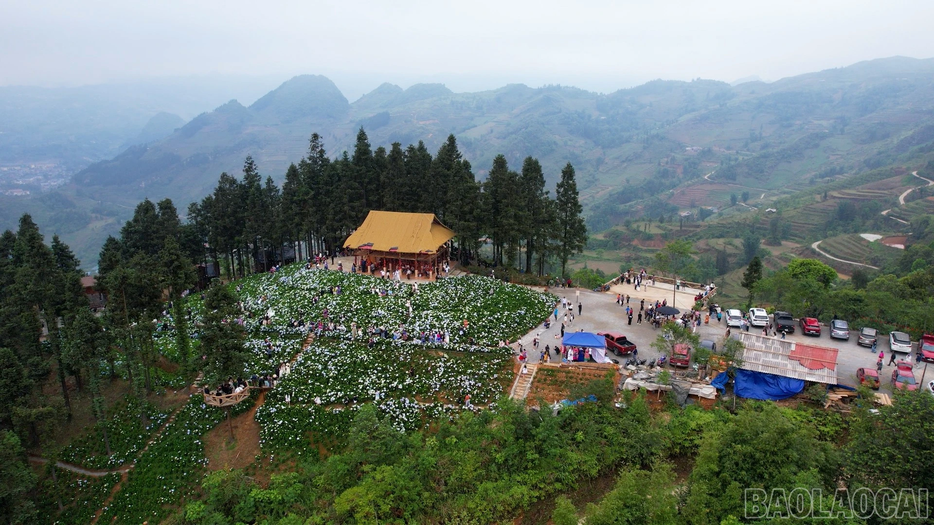 baolaocai-br_451-078100-01-08-06still087.jpg