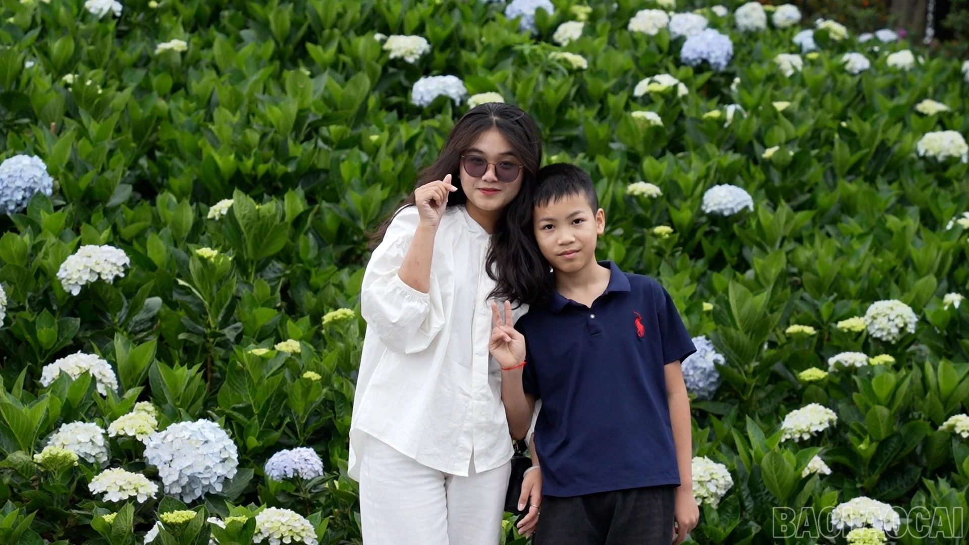 baolaocai-br_451-078100-04-57-14still095.jpg
