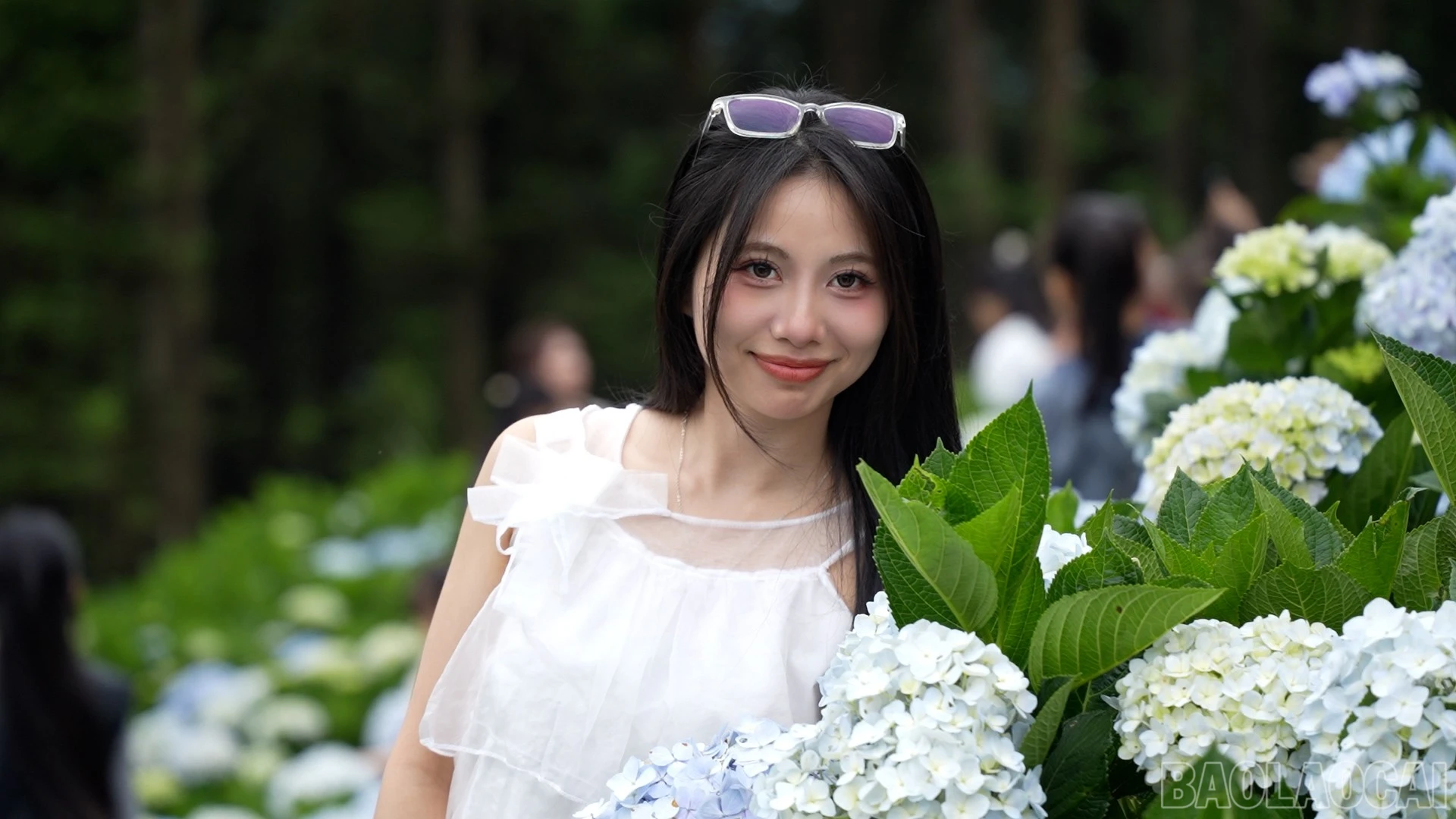 baolaocai-br_451-078100-06-33-23still116.jpg