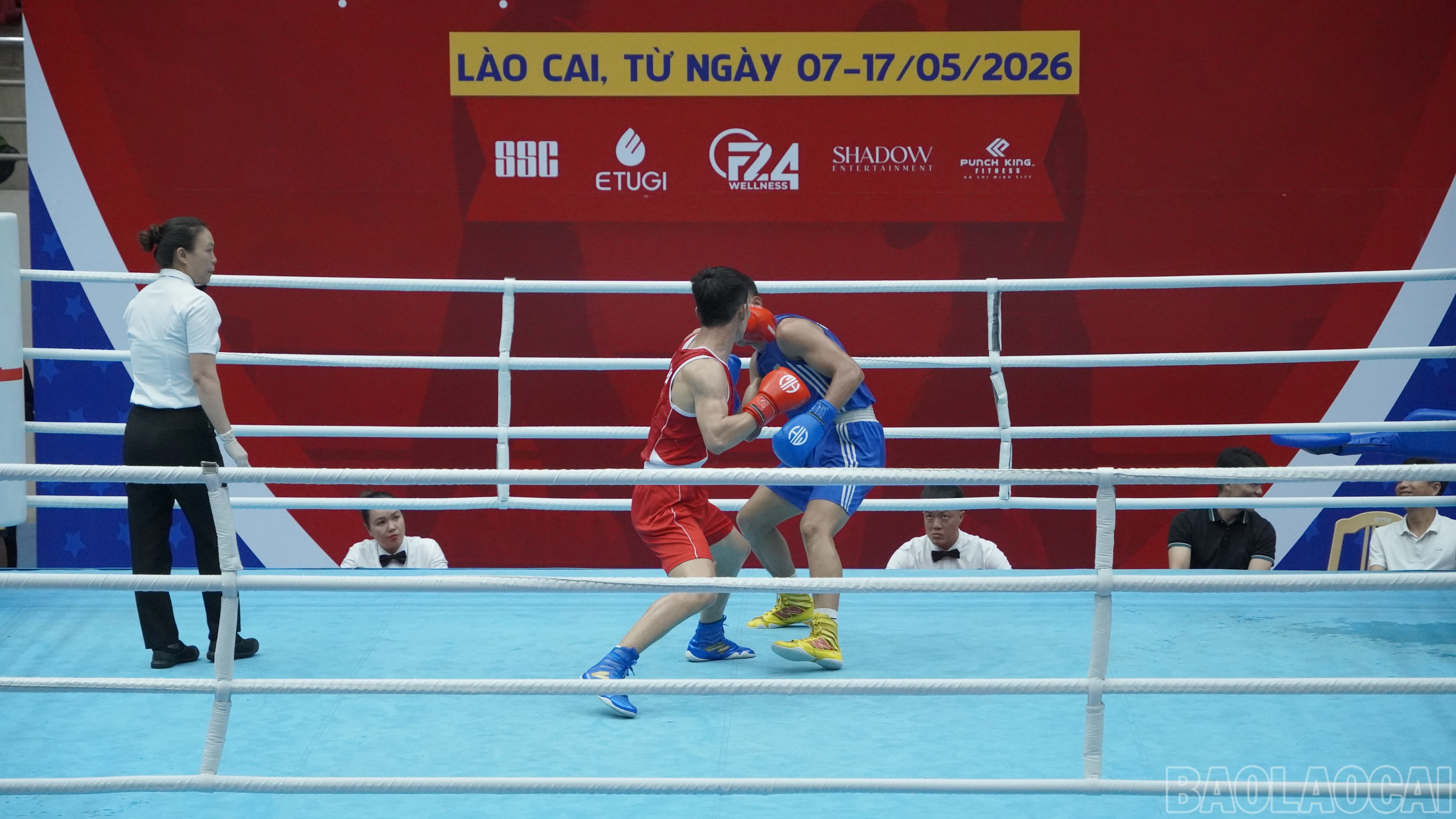 baolaocai-br_jim04323.jpg