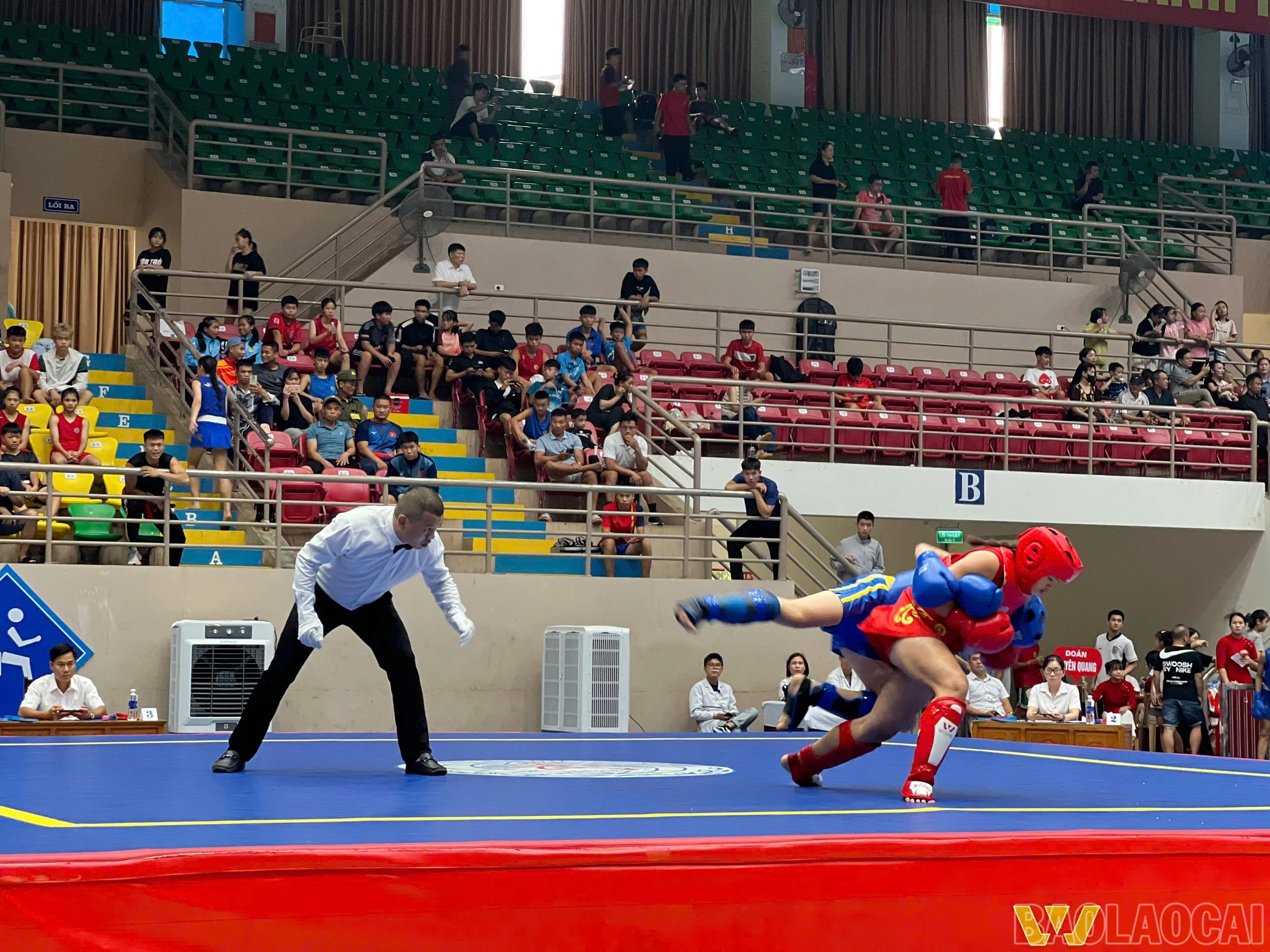 baolaocai-br_z6725520108623-81278651ef96f6838c6741a0164e3bde.jpg