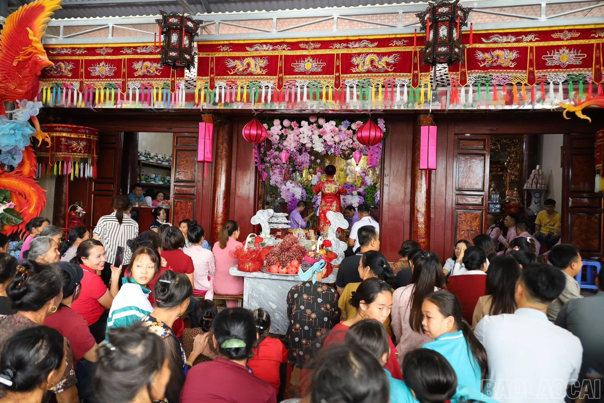baolaocai-br_571359830-749683908089520-6325625815943467370-n.jpg