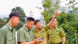 Chủ động phòng, chống cháy rừng ở khu vực Văn Bàn