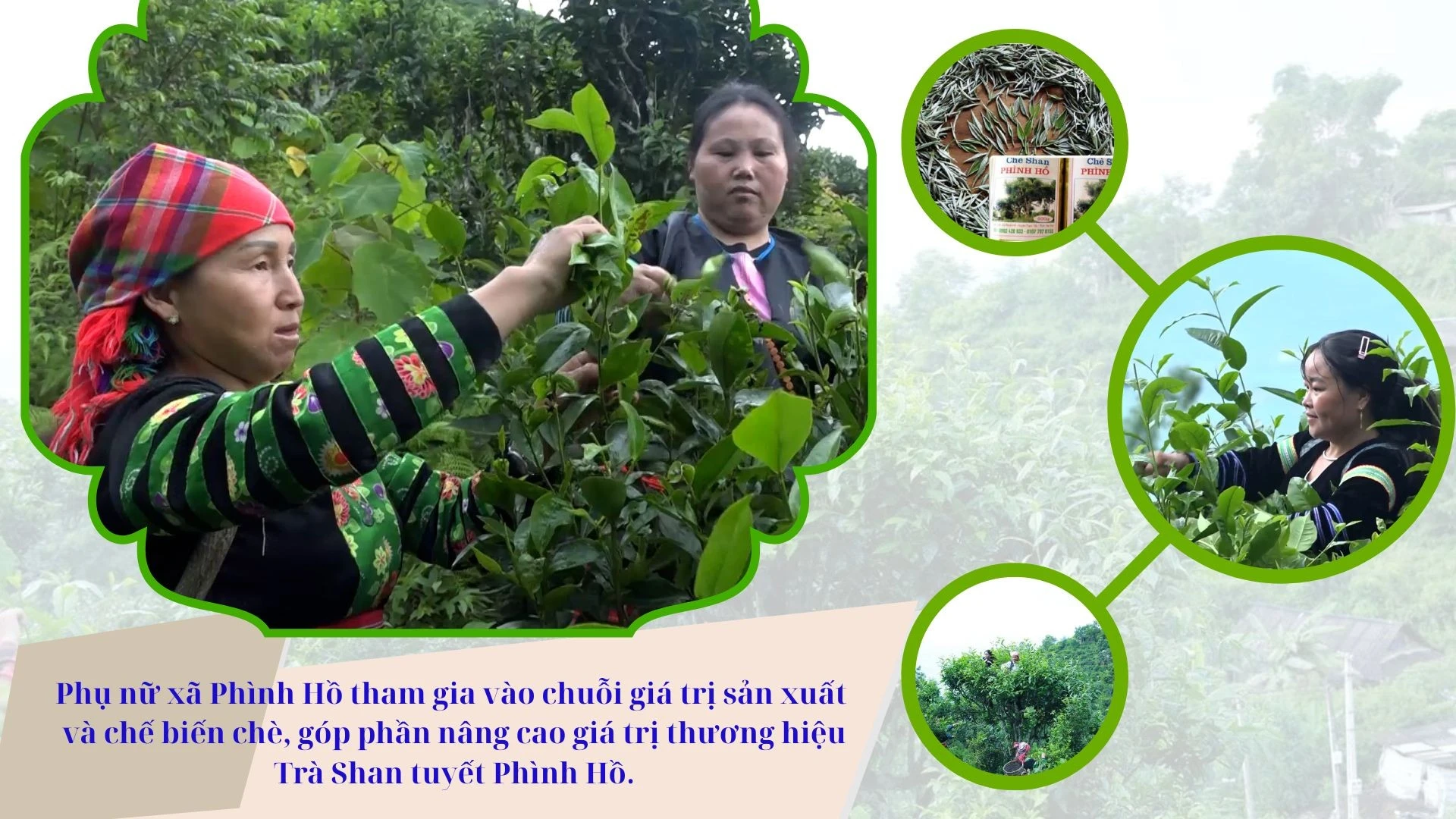 phu-nu-phinh-ho.jpg