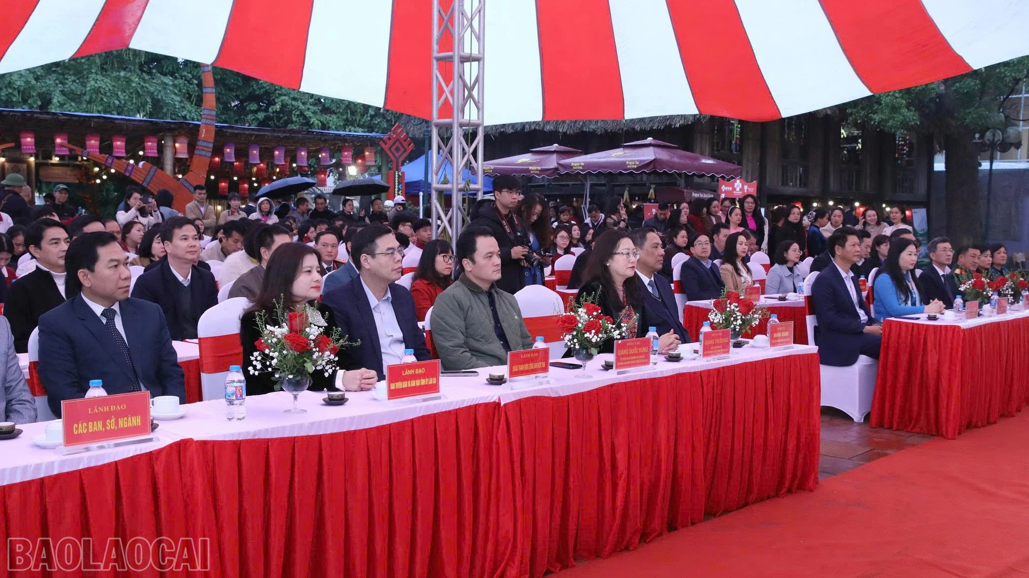 baolaocai-bl_anh-455555.jpg