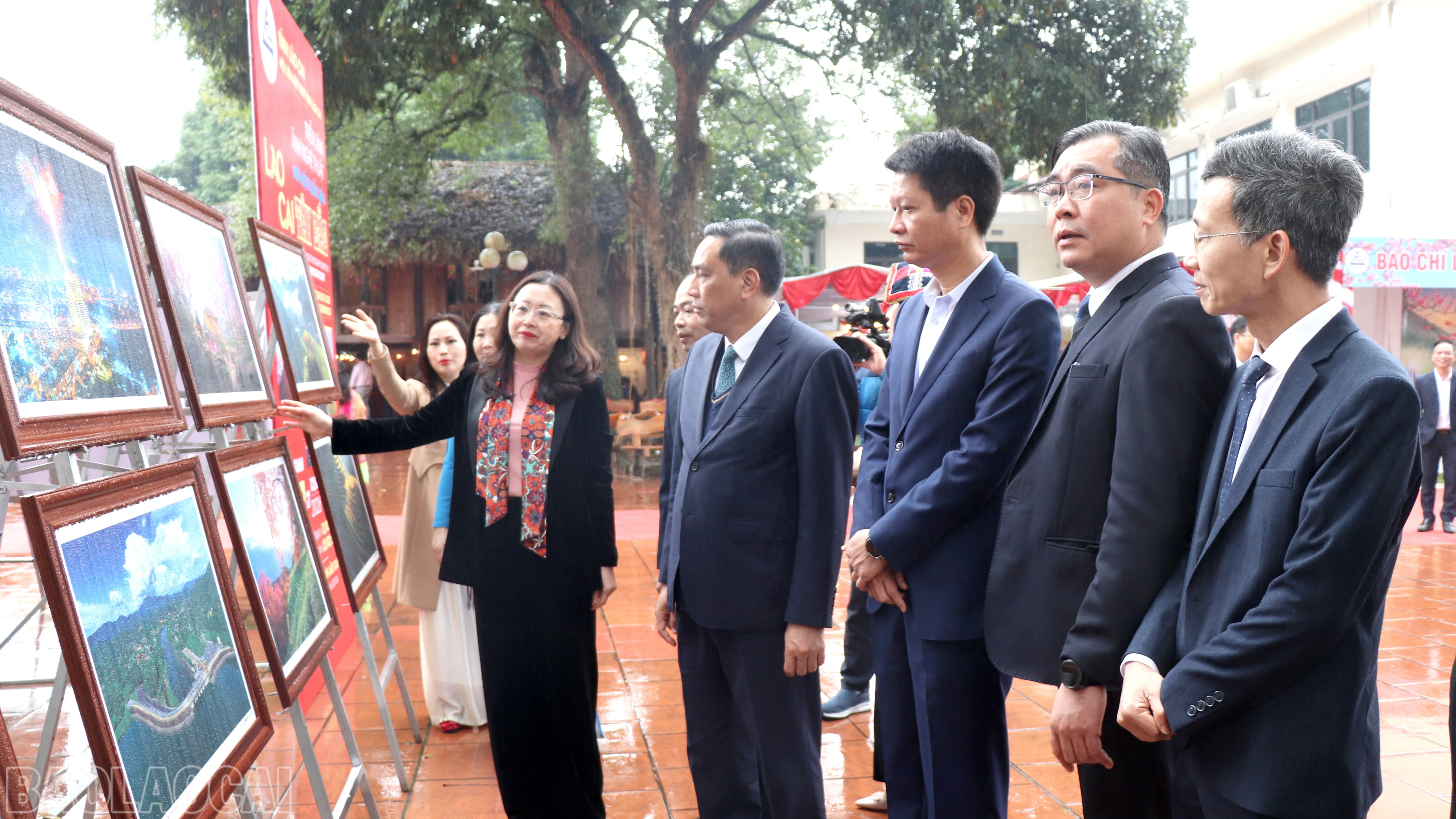 baolaocai-bl_anh-7.jpg