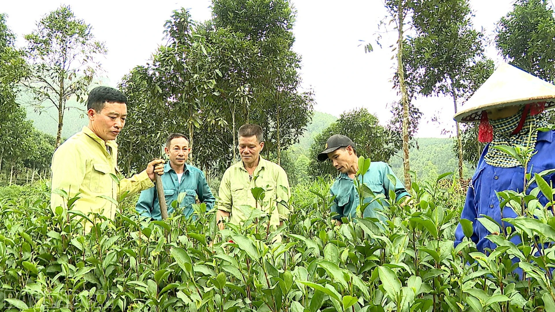 baolaocai-bl_anh-che-3-9280.jpg