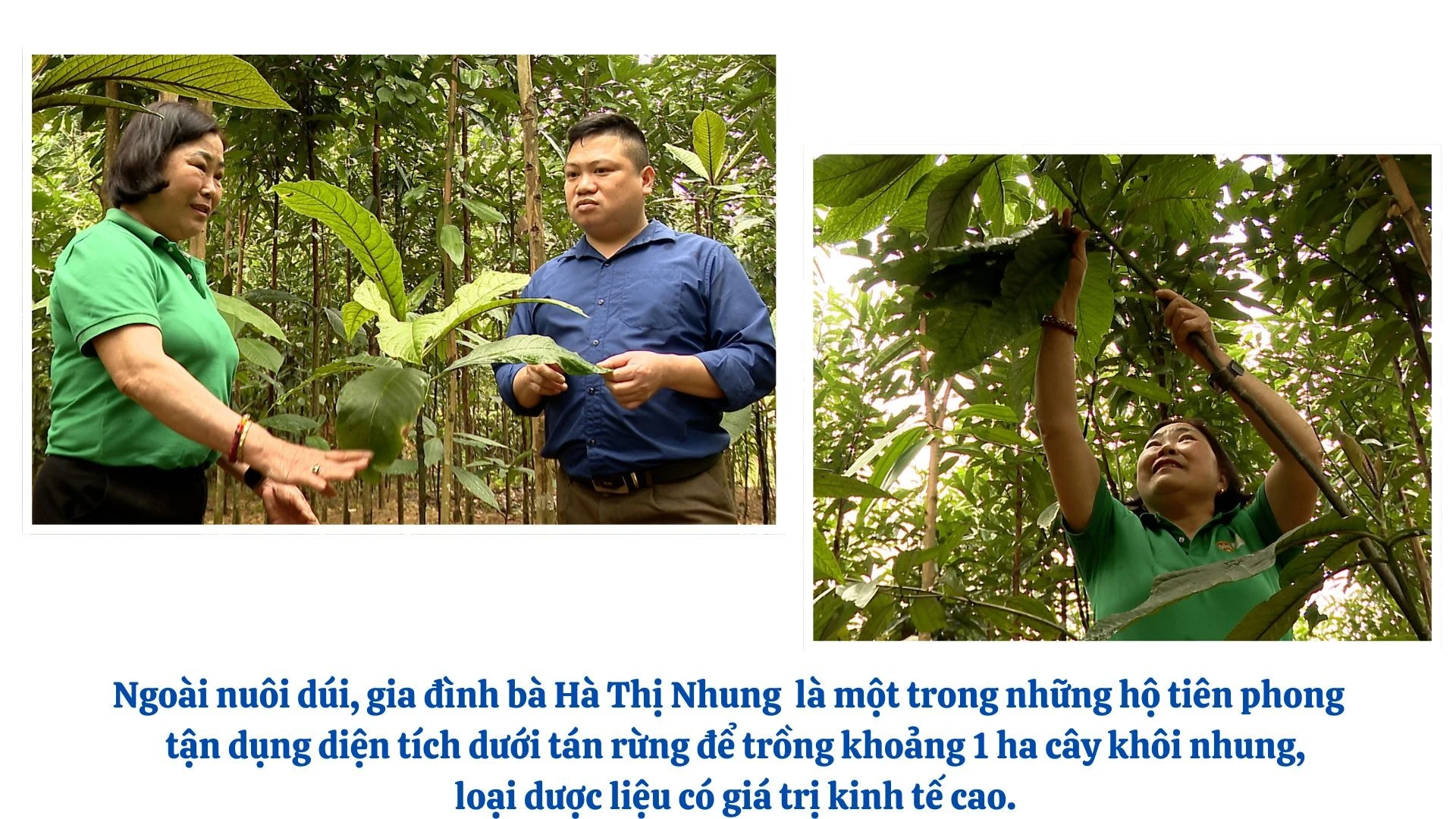 anh-khoi-nhung.jpg
