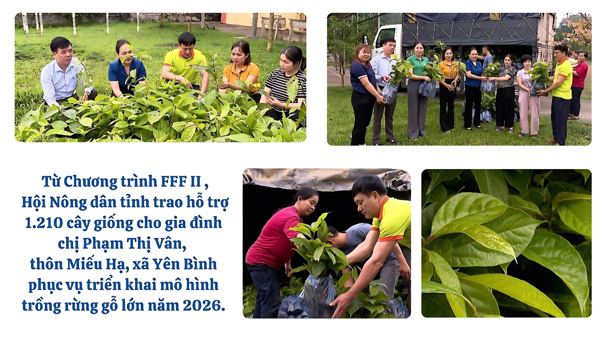 anh-tiep-suc-6527.jpg