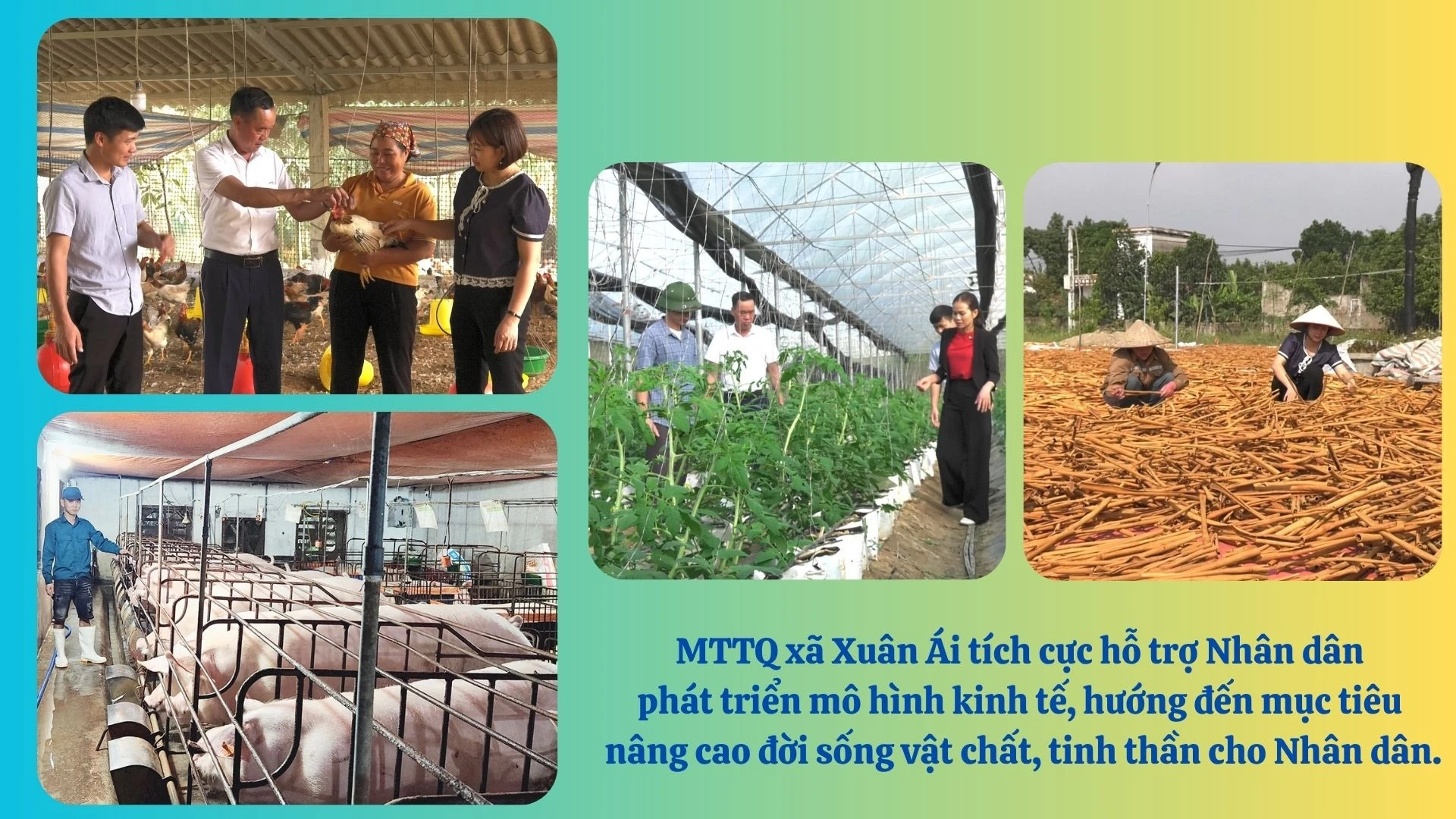 mttq-xuan-ai.jpg