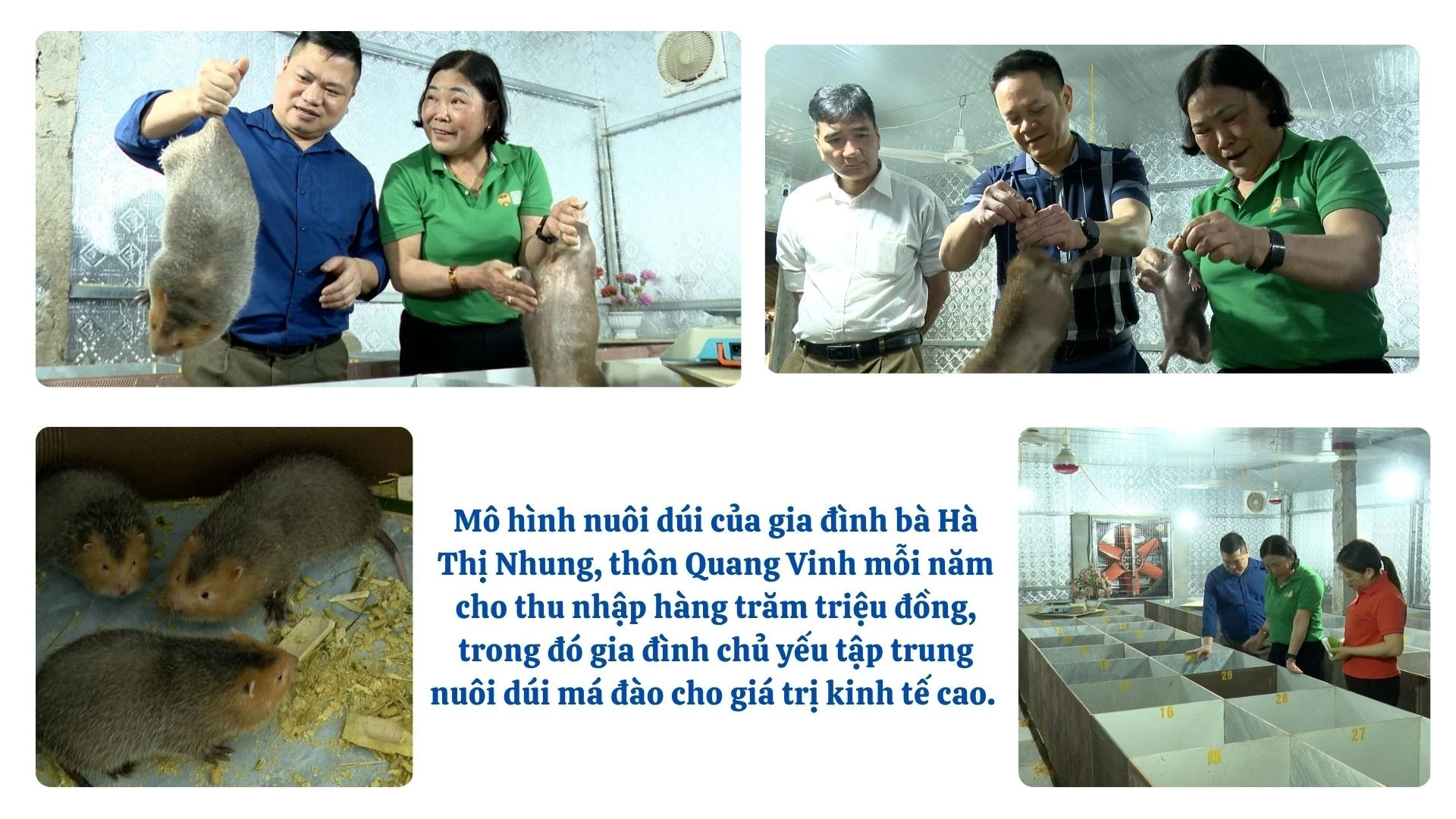 anh-nuoi-dui.jpg