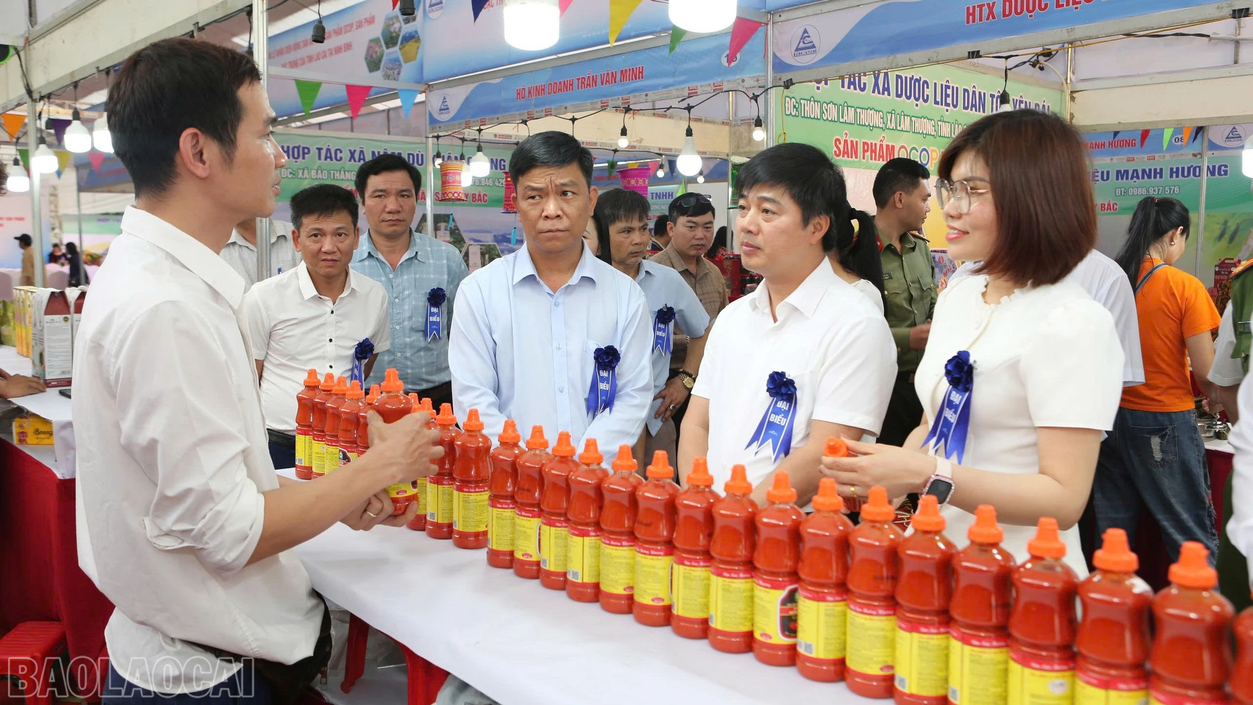 baolaocai-bl_anh-nb-1.jpg