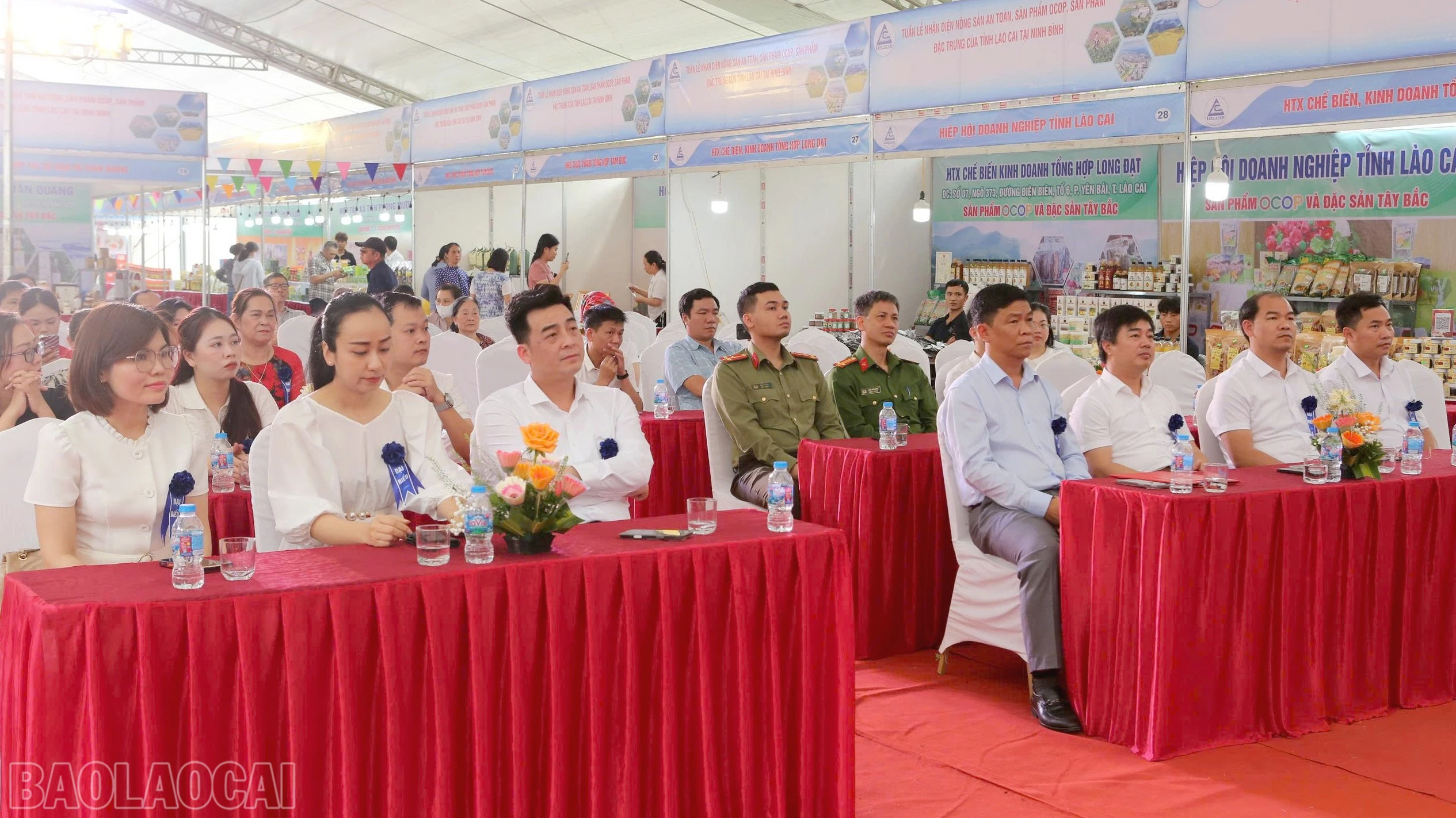 baolaocai-bl_anh-nb.jpg