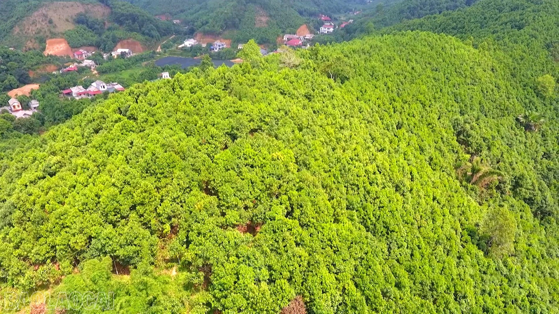 baolaocai-bl_anh-toan-canh.jpg
