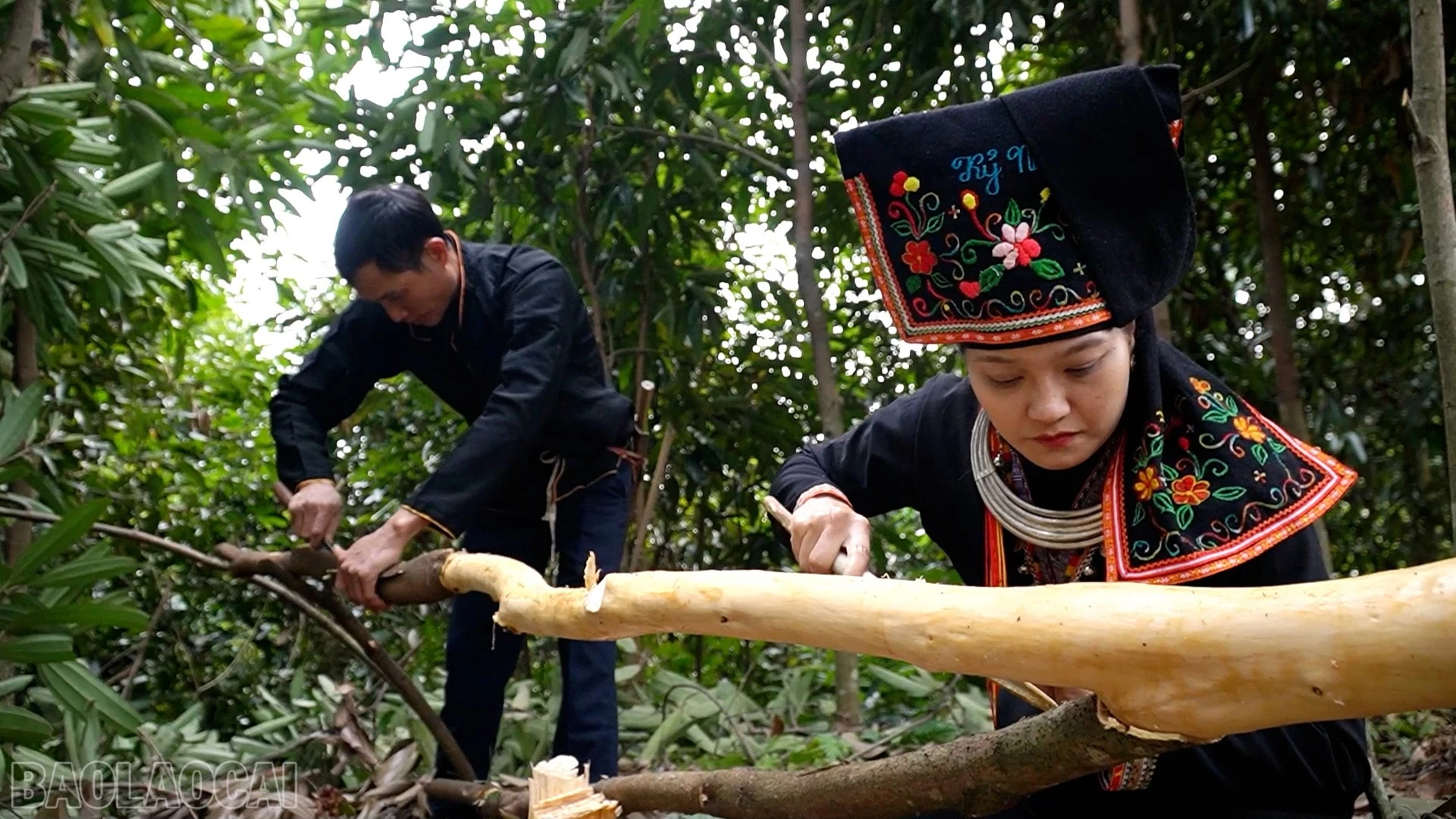 baolaocai-bl_anh-boc-3334.jpg