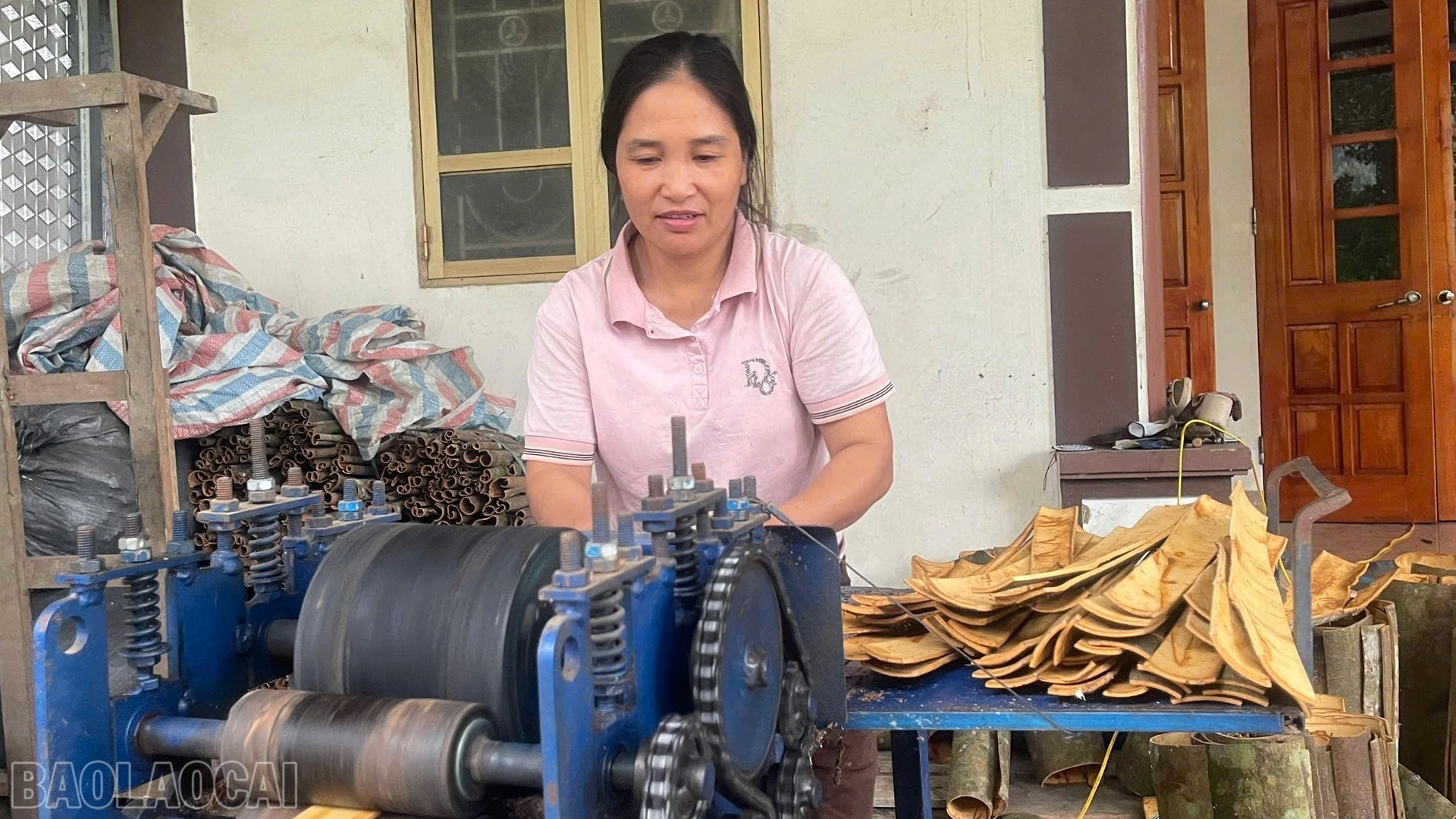 baolaocai-bl_anh-22333.jpg