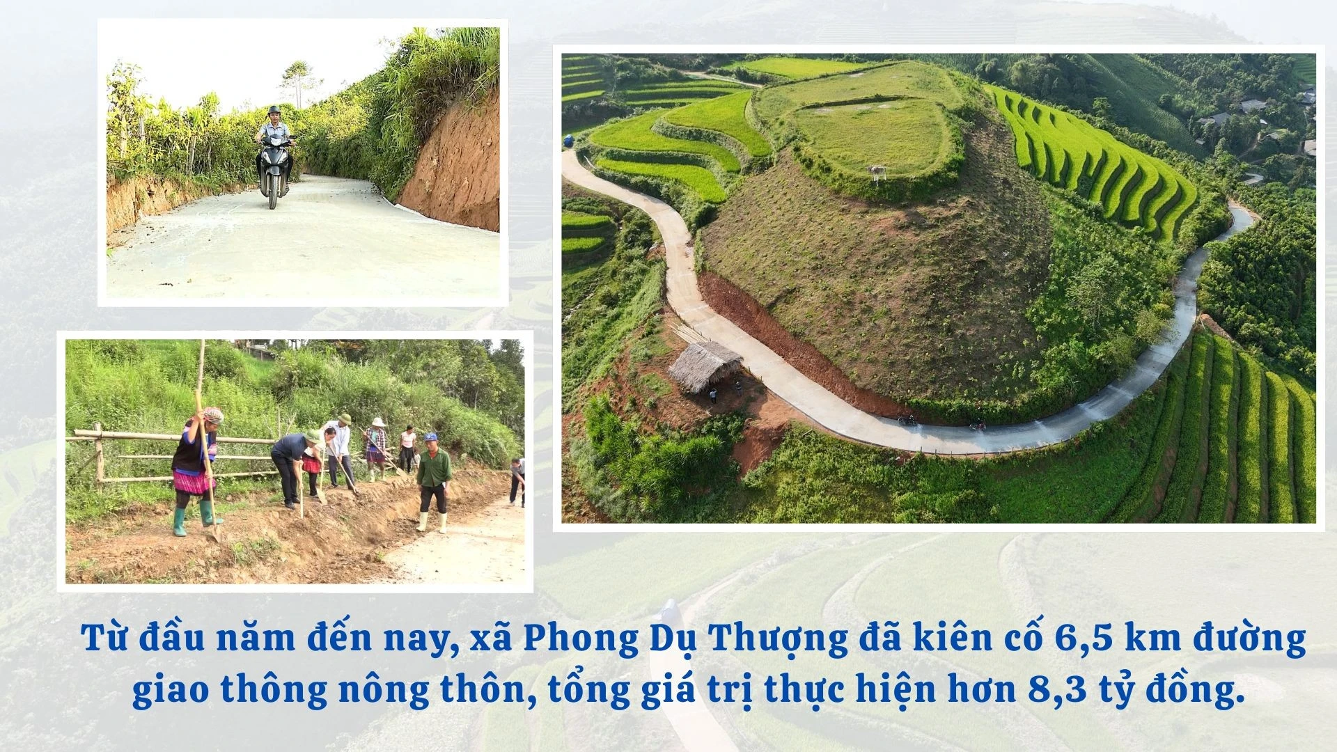 anh-sua-1.jpg