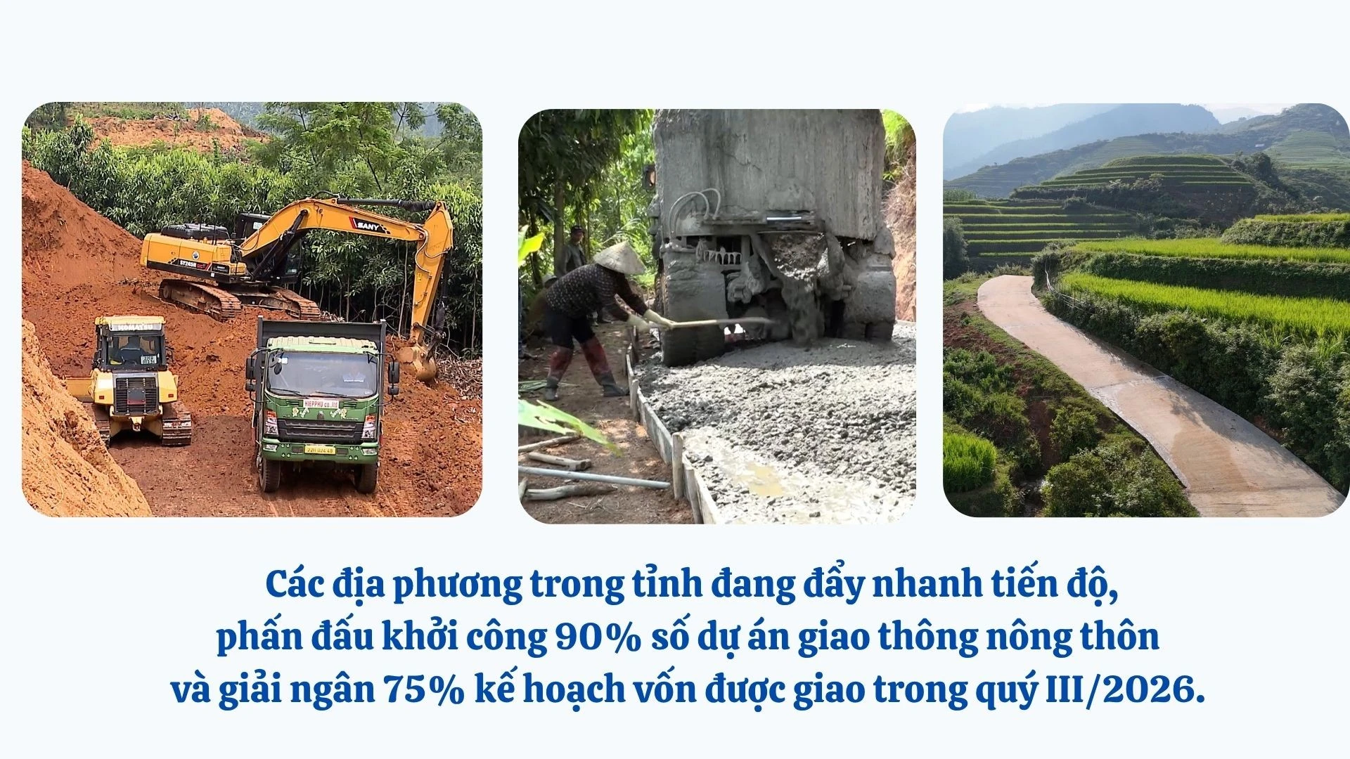 anh-sua-4.jpg