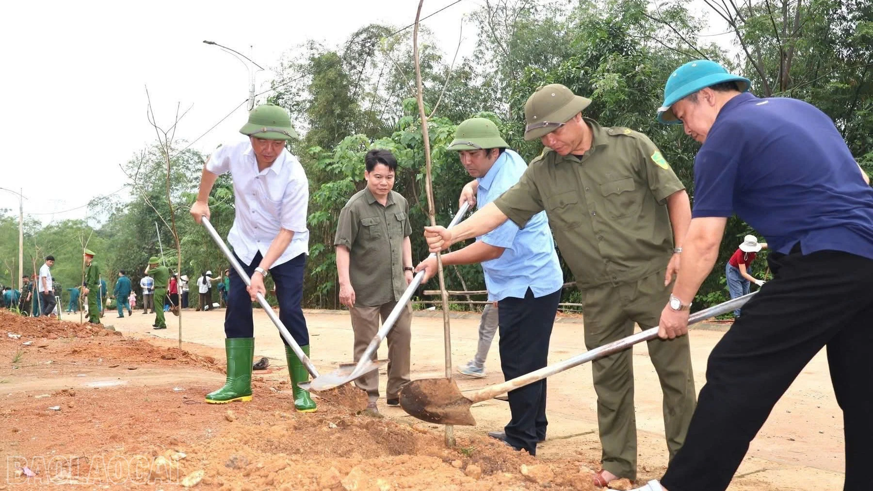 baolaocai-bl_anh-445555443333.jpg